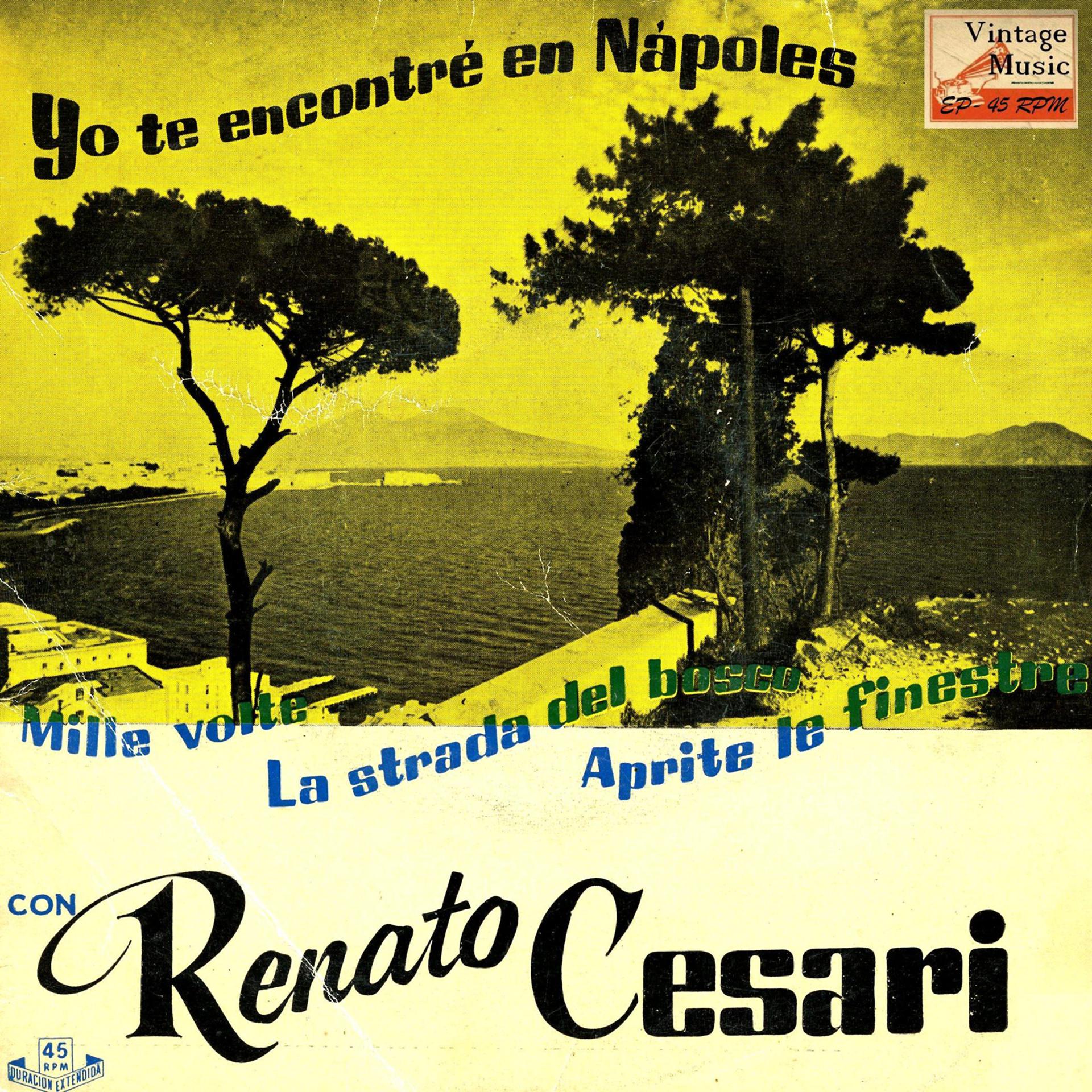 Постер альбома Vintage Italian Song No. 43 - EP: Yo Te Encontré En Nápoles