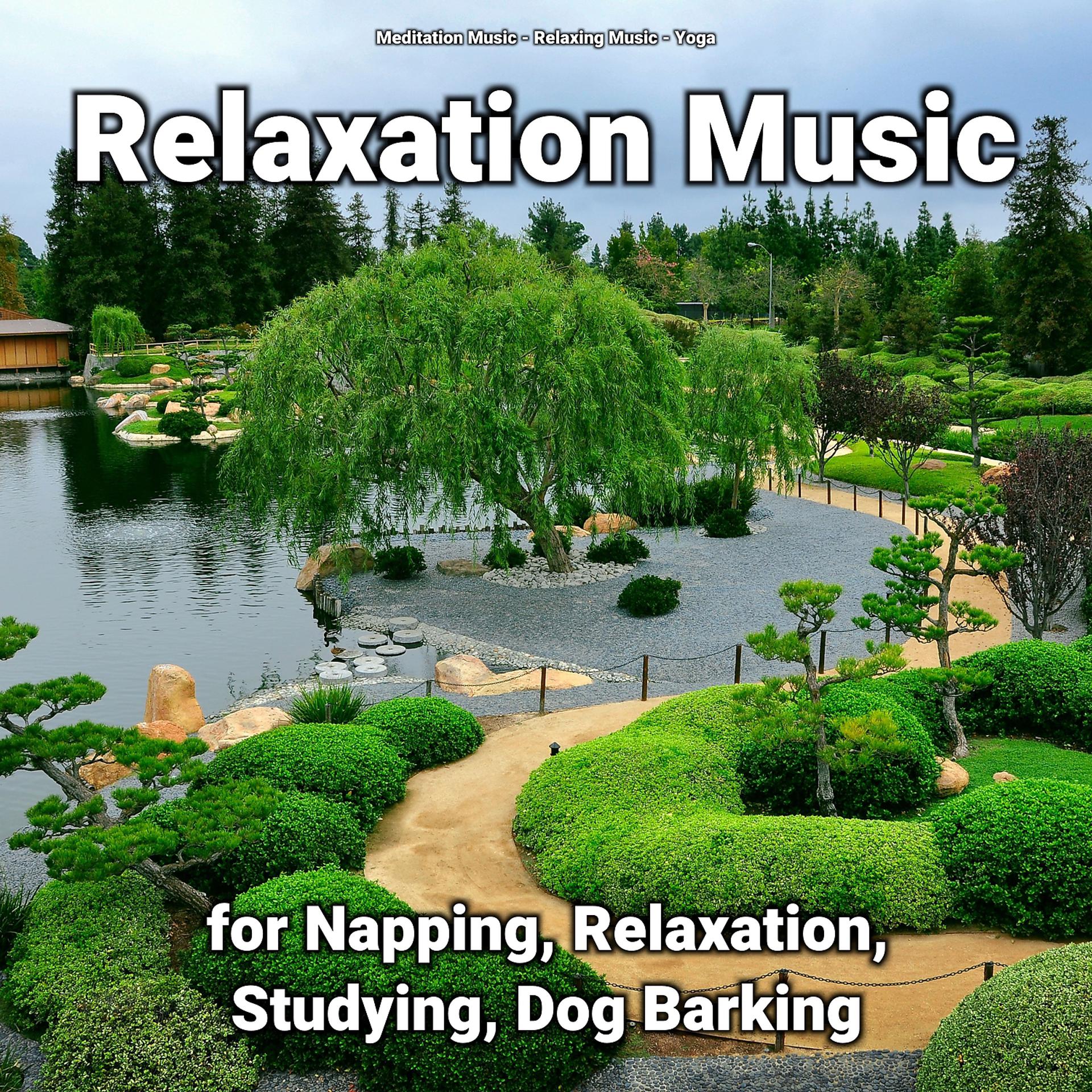 Постер альбома Relaxation Music for Napping, Relaxation, Studying, Dog Barking
