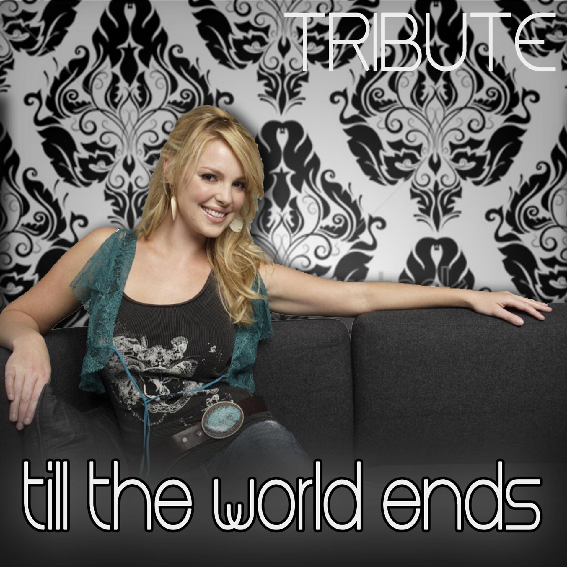 Постер альбома Till the World Ends (Britney Spears Tribute)