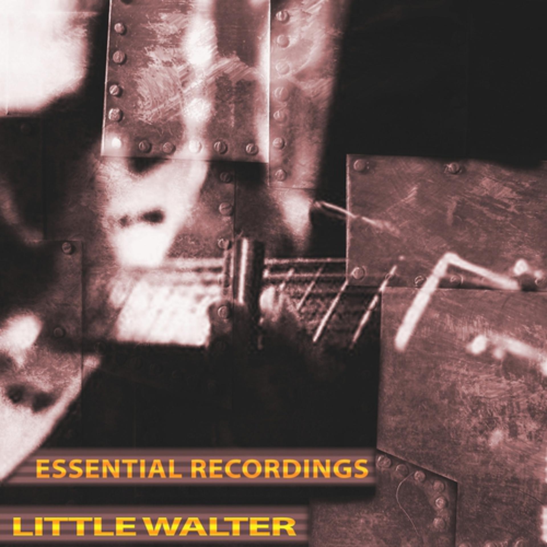Постер альбома Essential Recordings