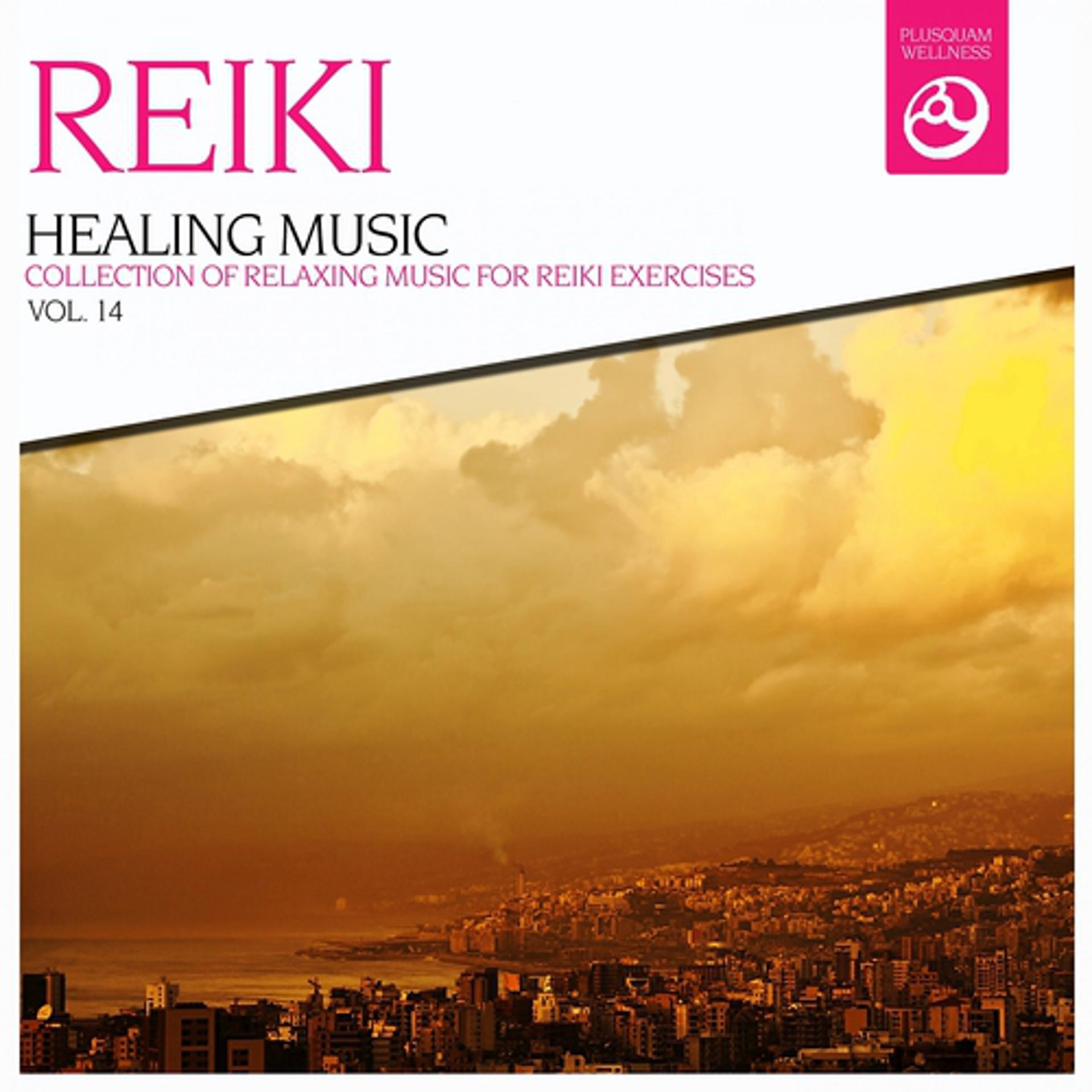 Постер альбома Reiki Healing Music, Vol. 14