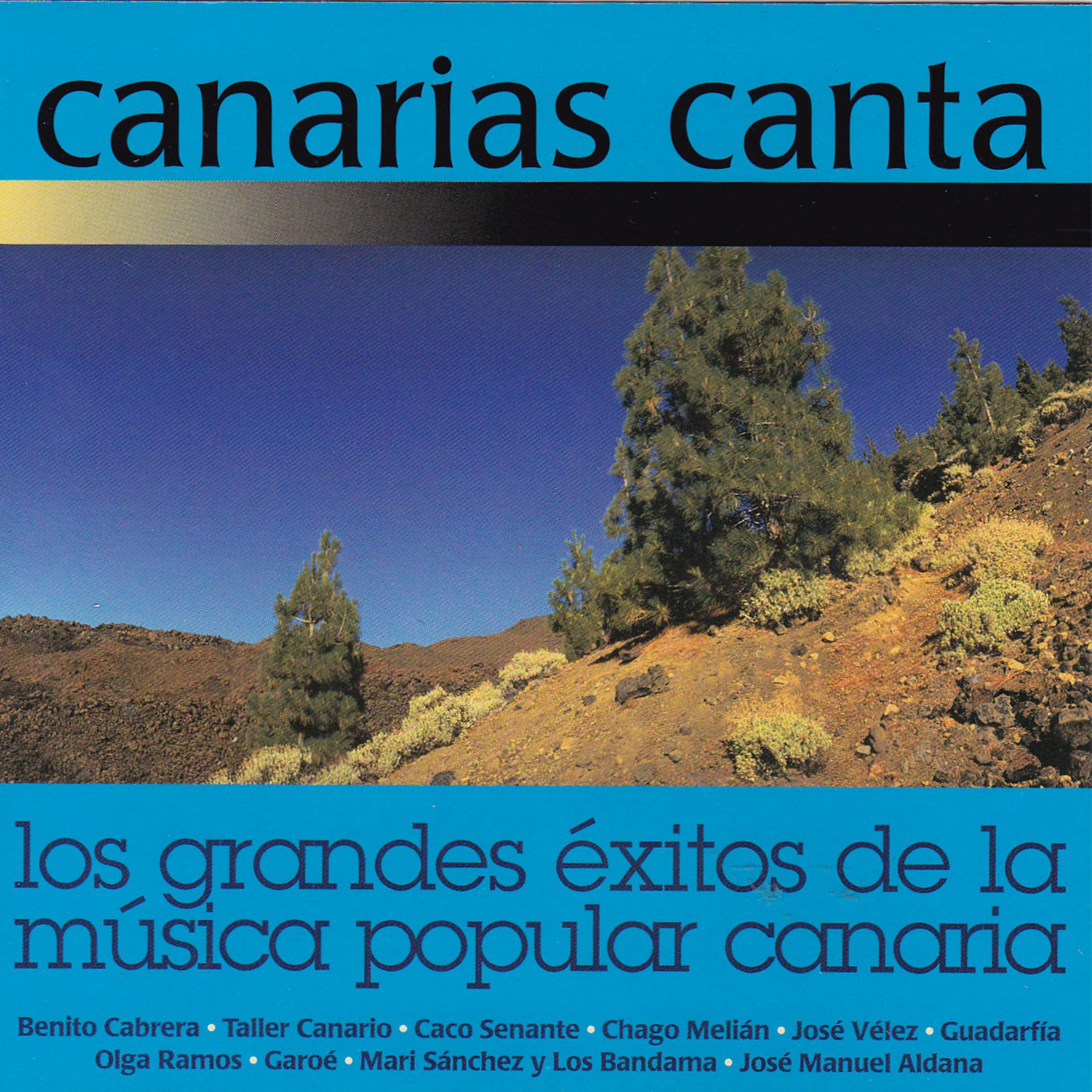 Постер альбома Los Grandes Éxitos de la Música Popular Canaria