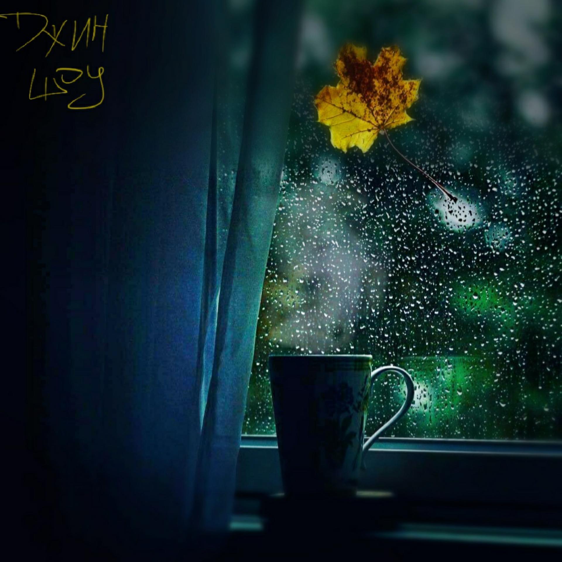 Постер альбома За окном дождь