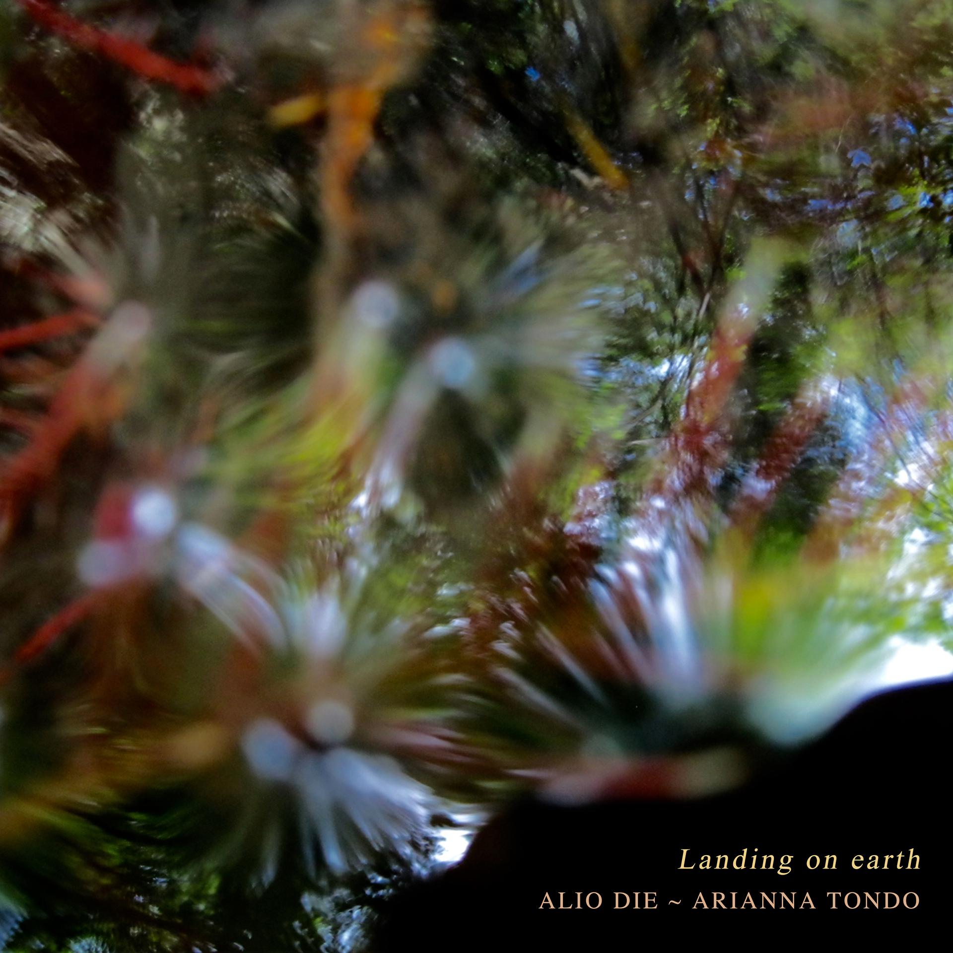 Постер альбома Landing on Earth