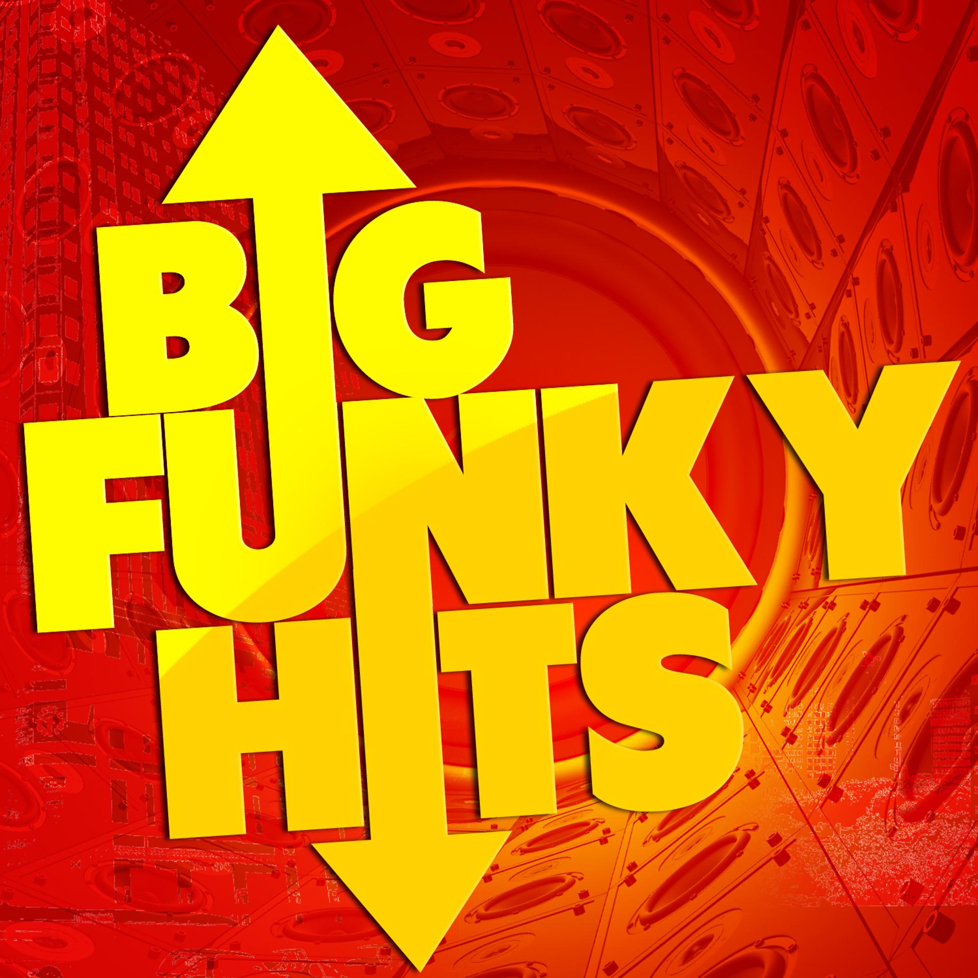 Постер альбома Big Funky Hits