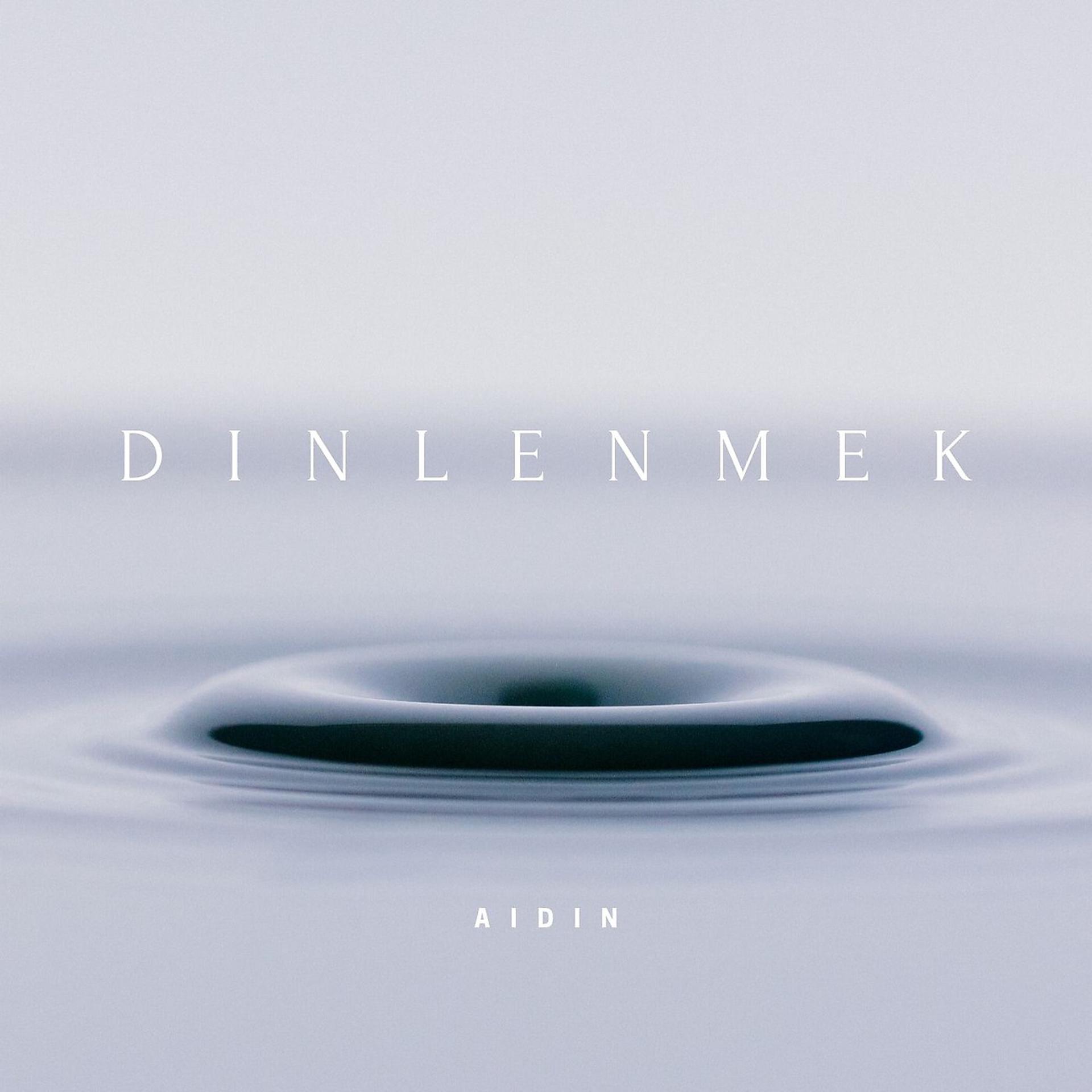 Постер альбома Dinlenmek