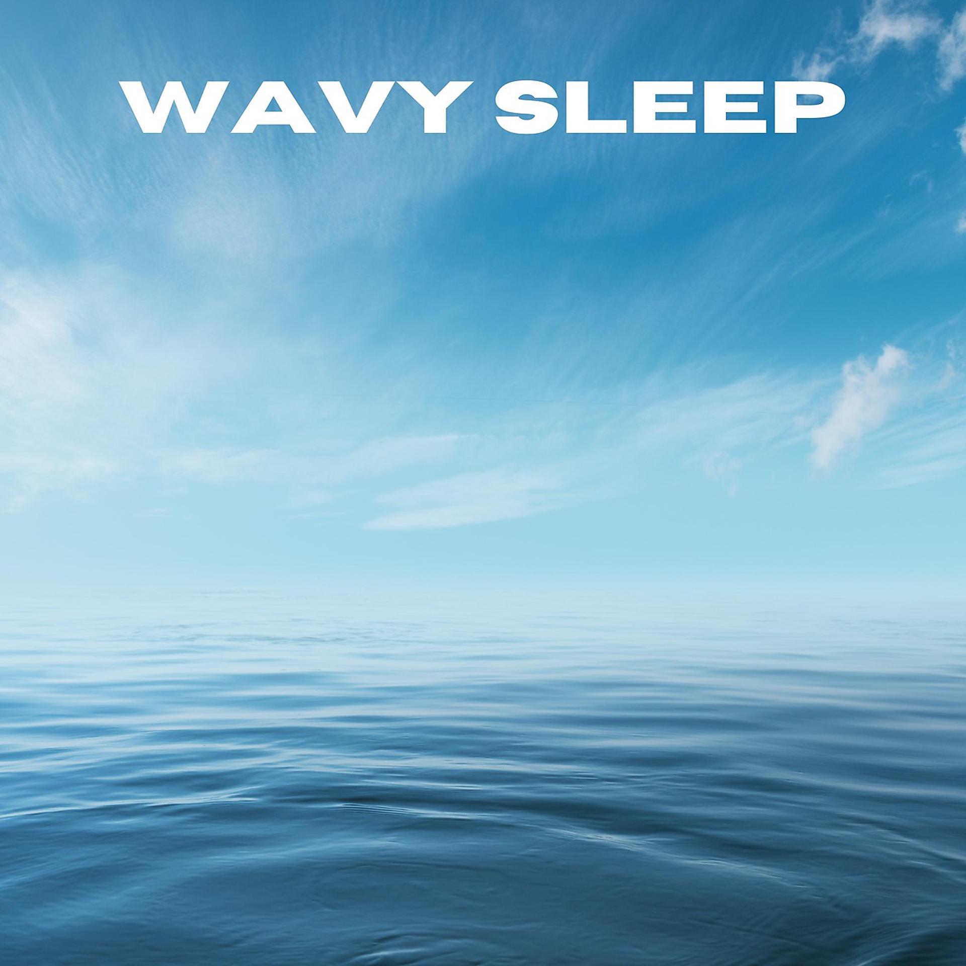 Постер альбома Wavy Sleep