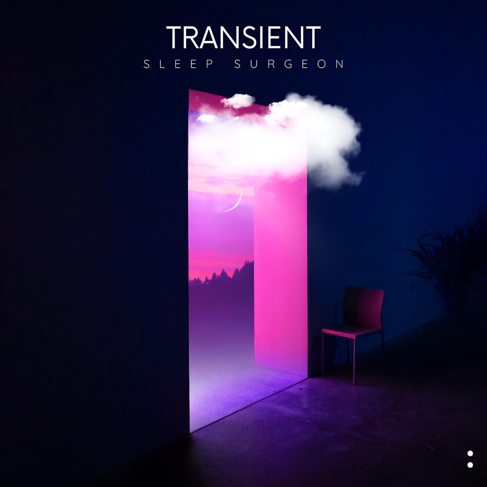 Постер альбома Transient