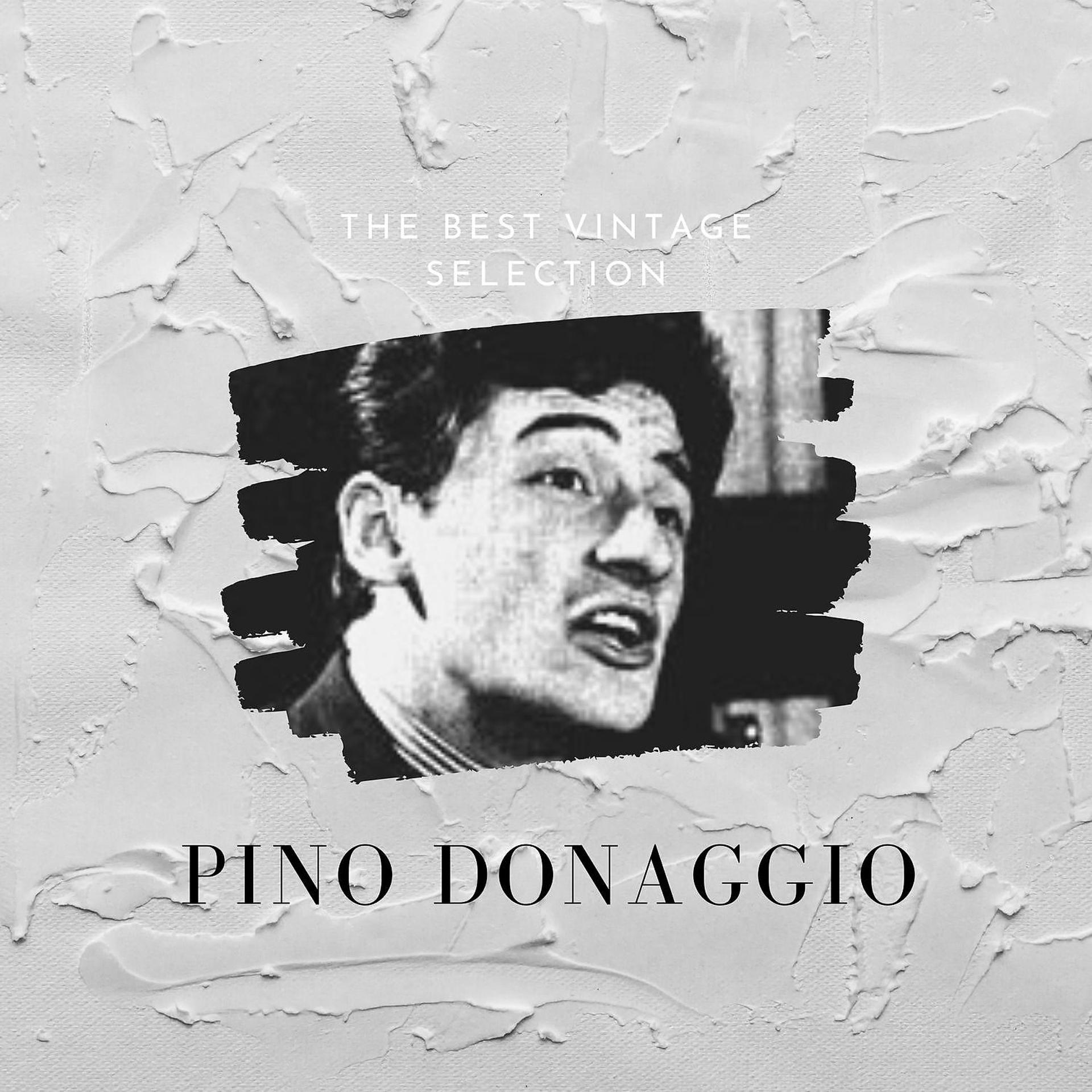 Постер альбома The Best Vintage Selection - Pino Donaggio