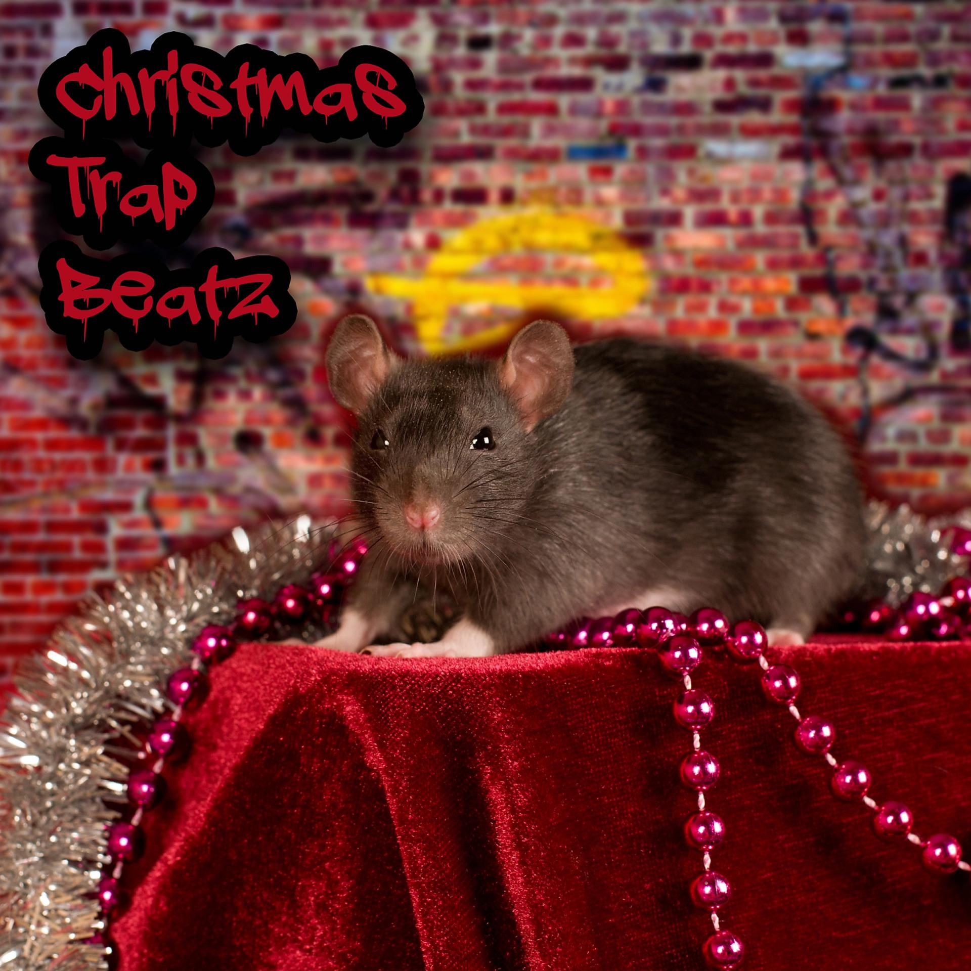 Постер альбома Christmas Trap Beatz