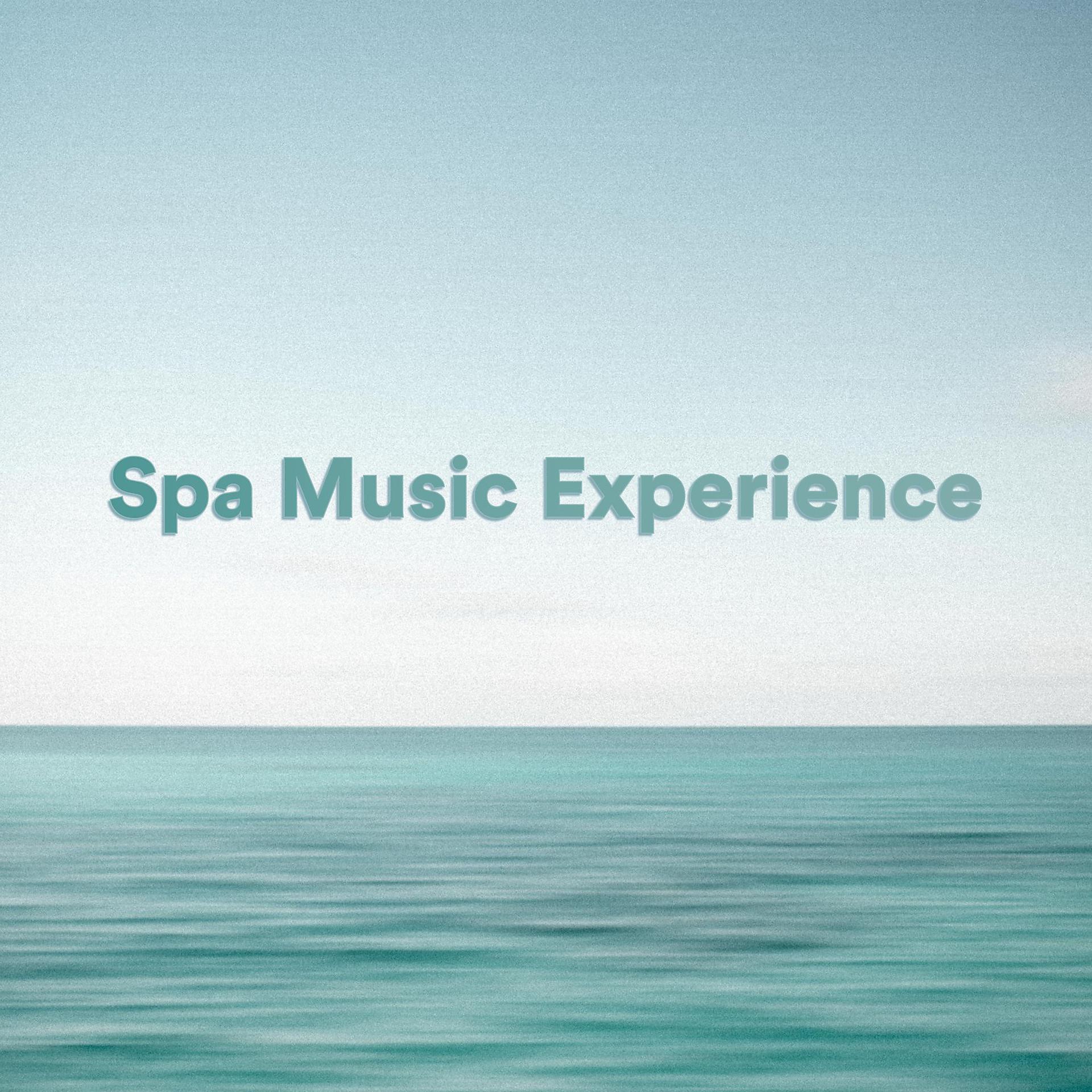 Постер альбома Spa Music Experience