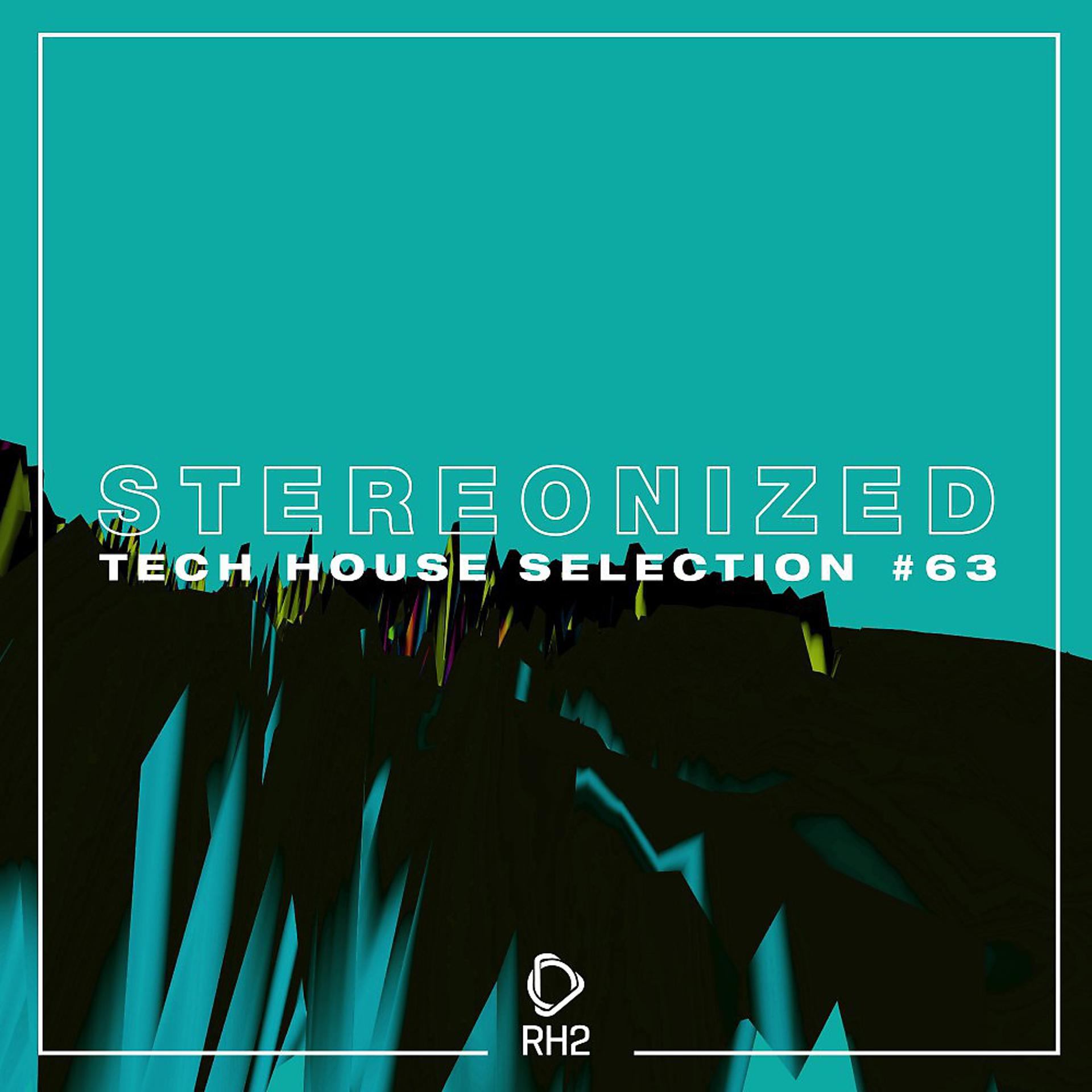 Постер альбома Stereonized: Tech House Selection, Vol. 63