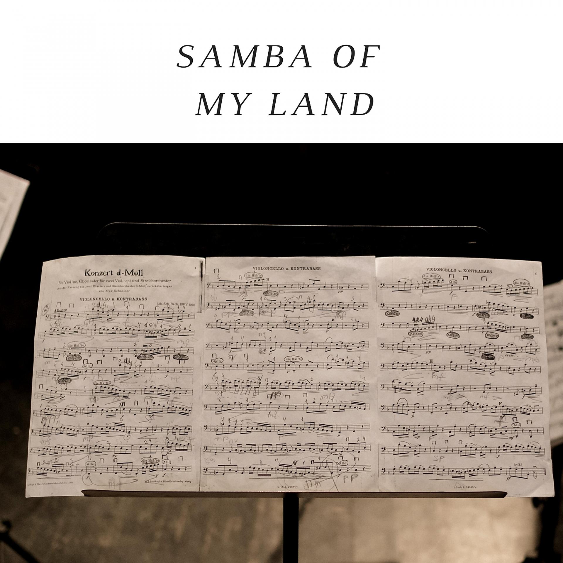 Постер альбома Samba Of My Land