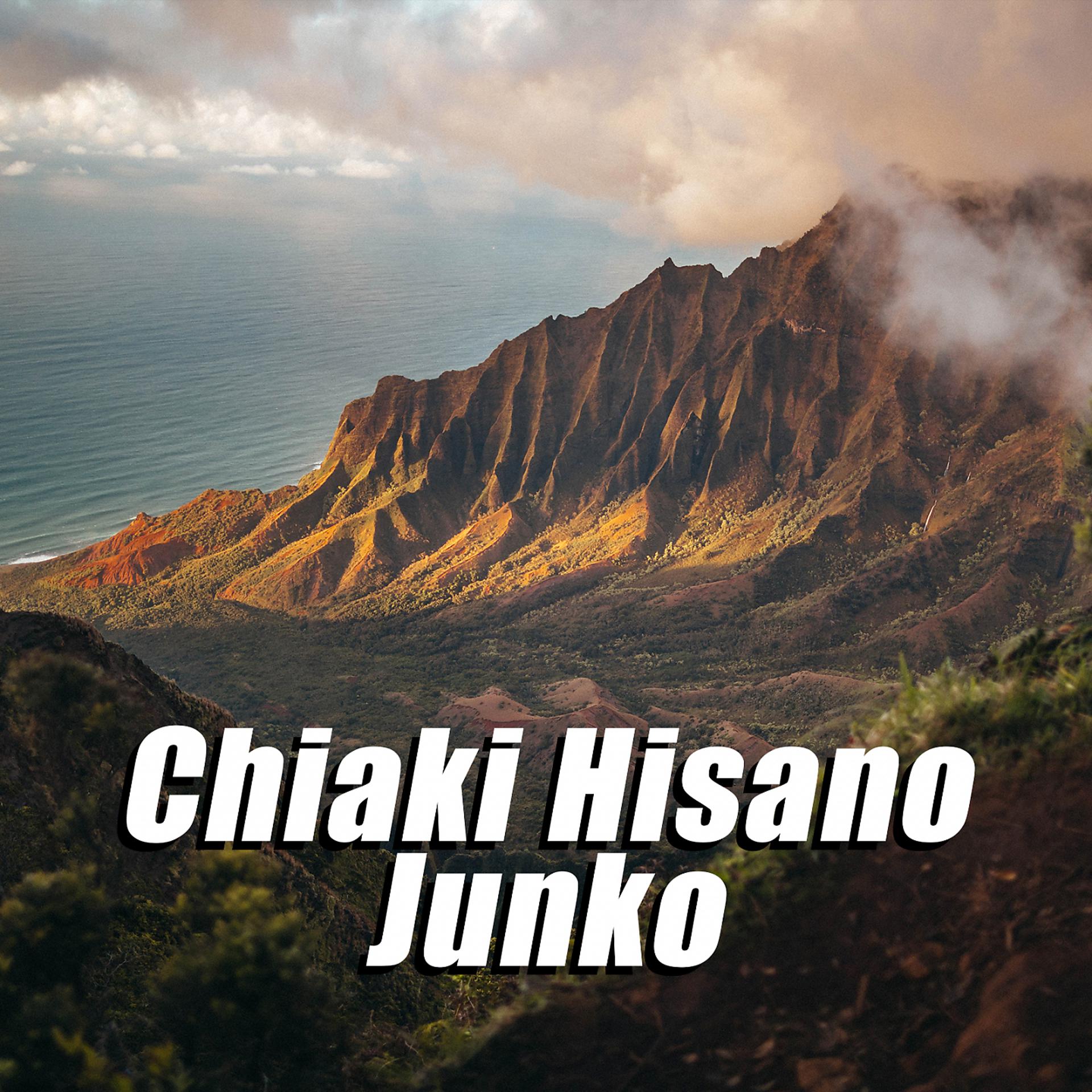 Постер альбома Junko
