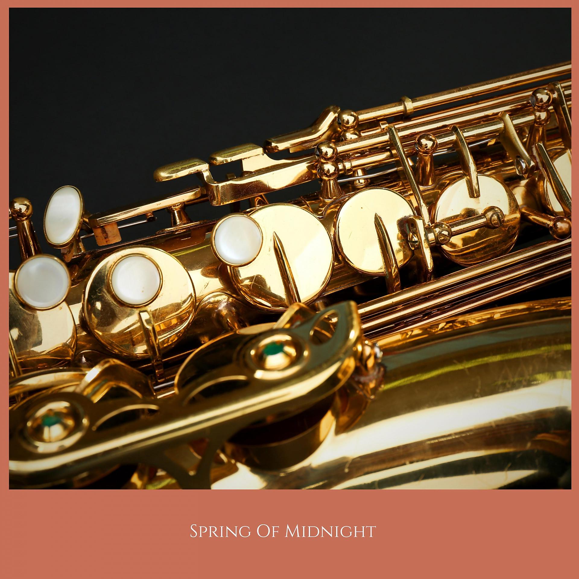 Постер альбома Spring Of Midnight