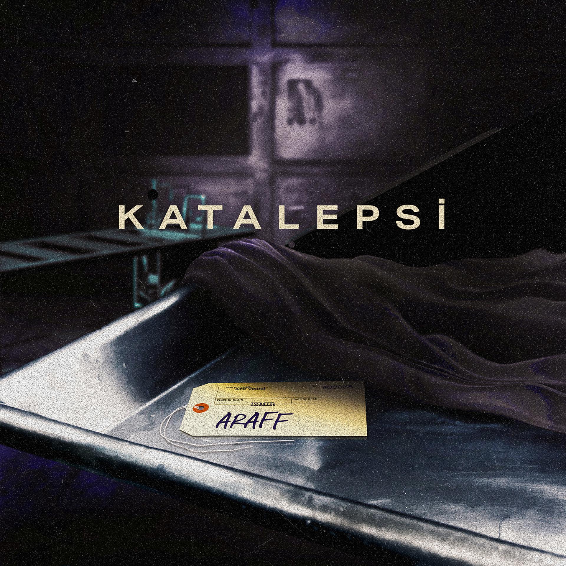 Постер альбома Katalepsi