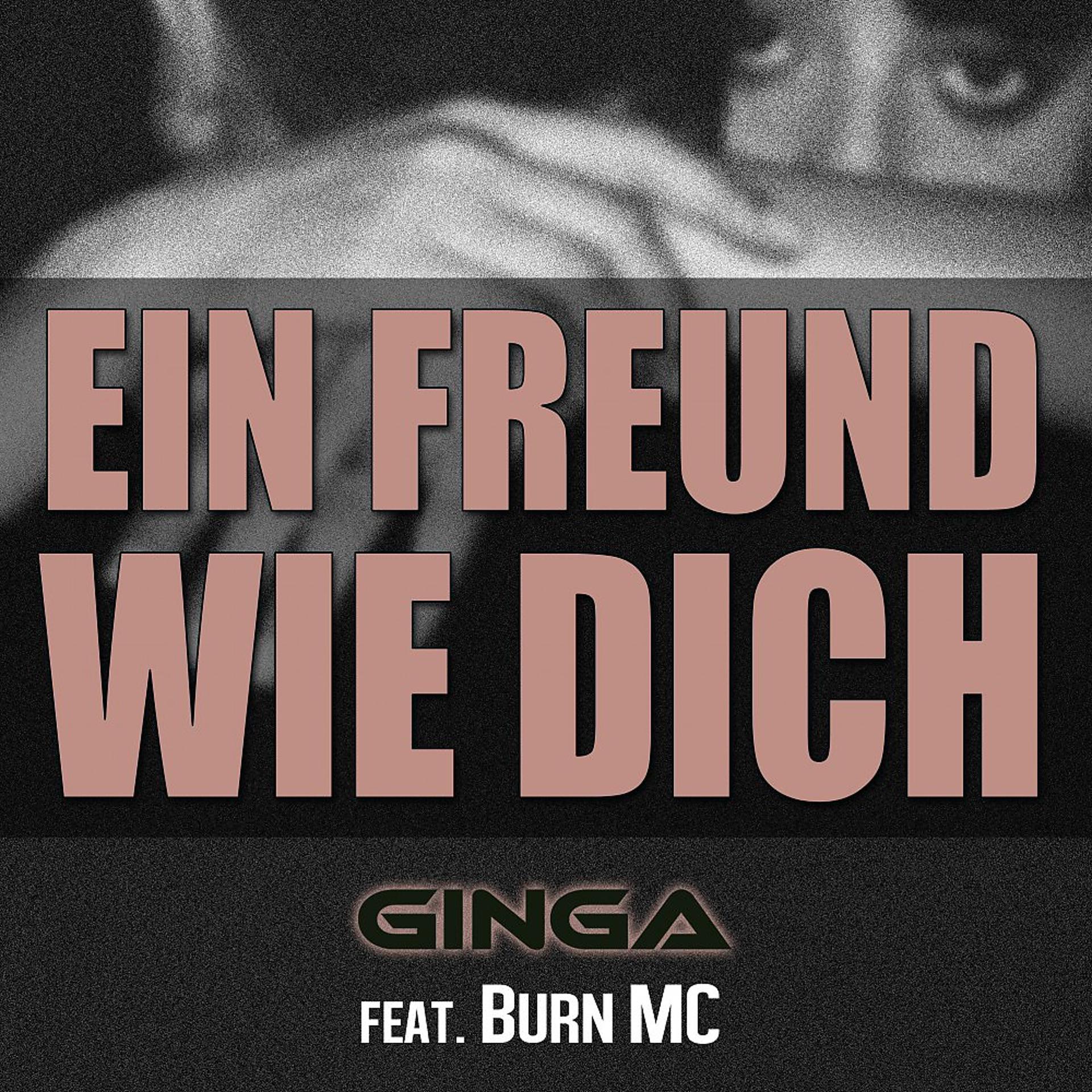 Постер альбома Ein Freund wie Dich