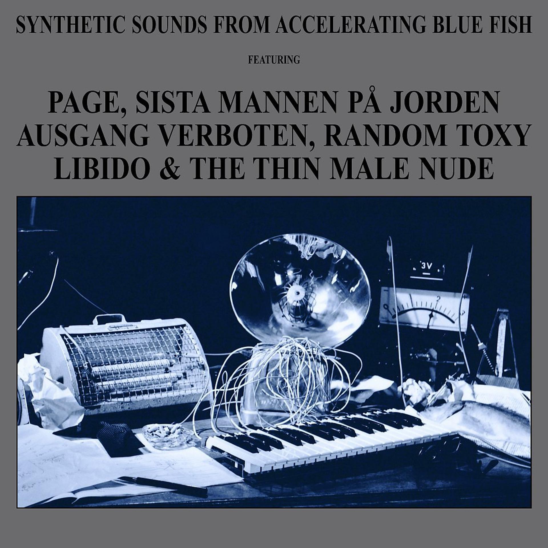 Постер альбома Synthetic Sounds from Accelerating Blue Fish