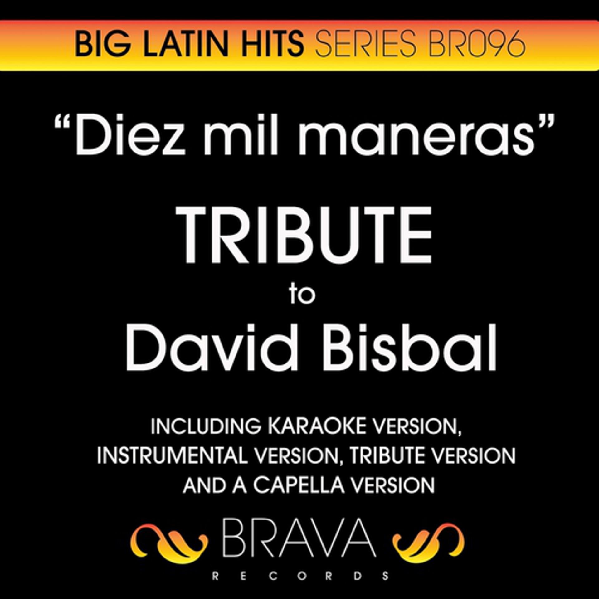 Постер альбома Diez Mil Maneras - Tribute to David Bisbal