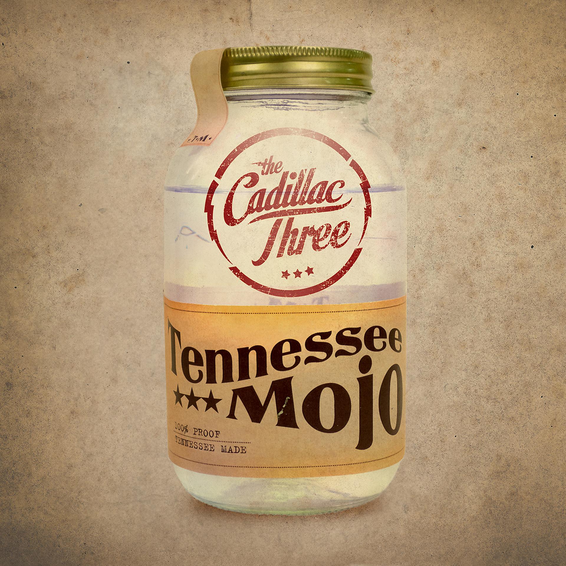 Постер альбома Tennessee Mojo