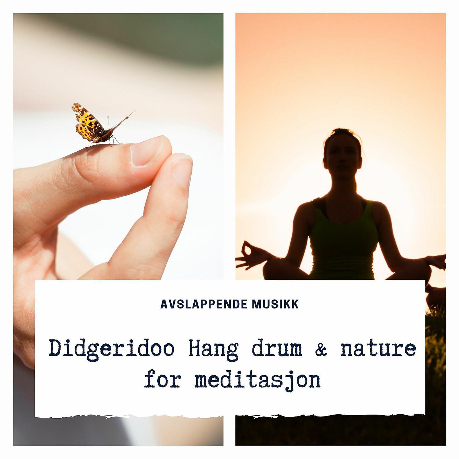 Постер альбома Didgeridoo, Hang drum & nature for meditasjon