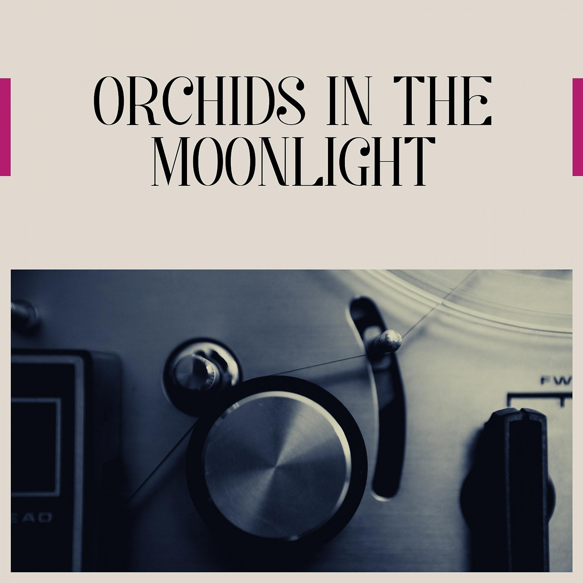 Постер альбома Orchids in the Moonlight