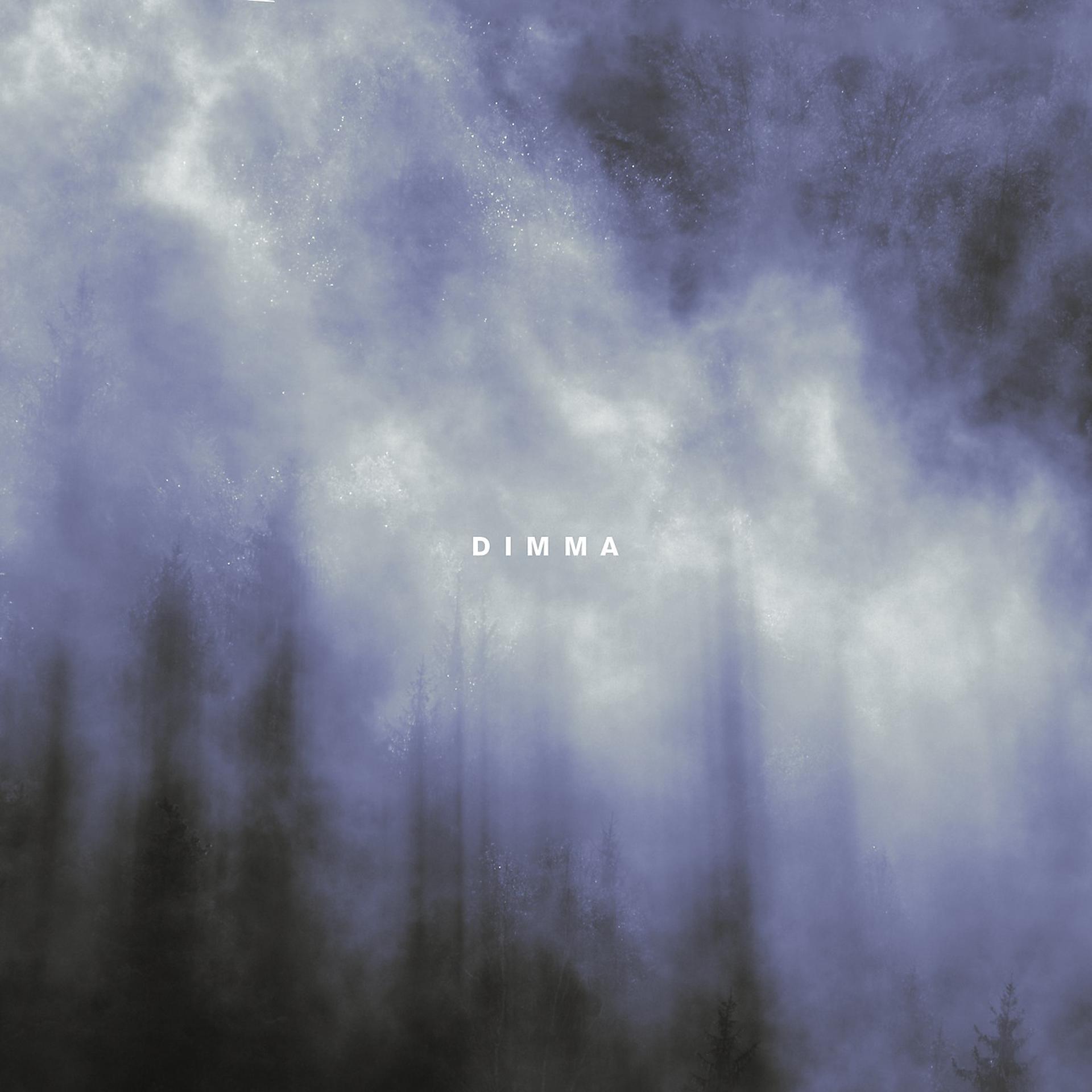 Постер альбома Dimma