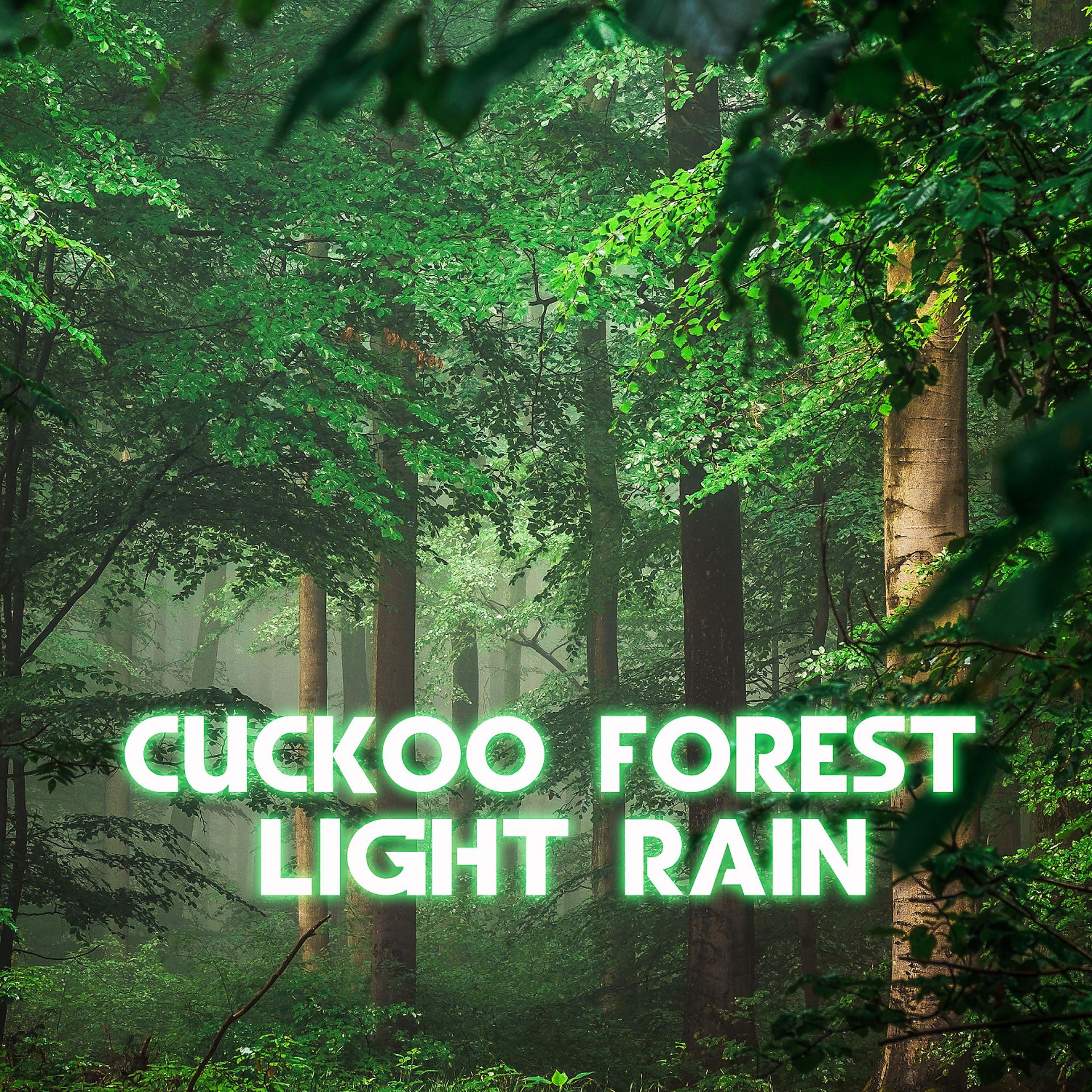 Постер альбома Cuckoo Forest Light Rain (feat. Forest Sounds, Rain Power & Rain Sound)