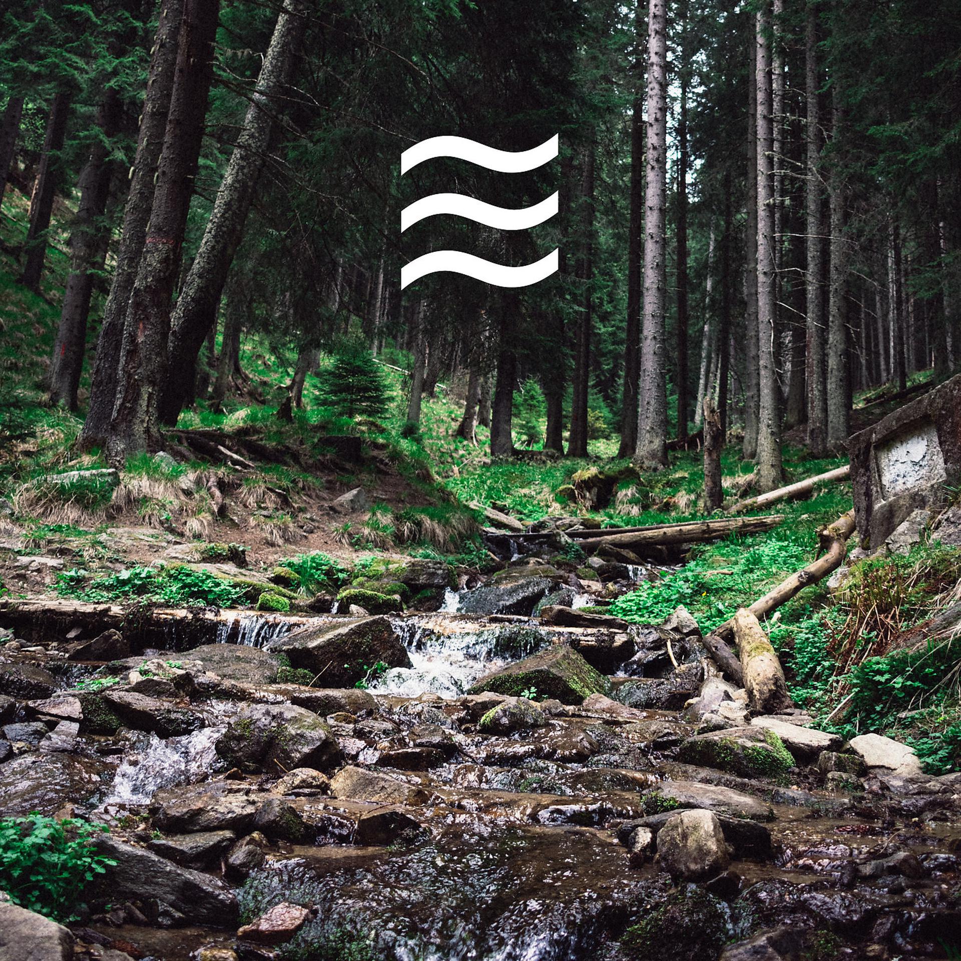 Постер альбома Спокойные звуки естественного дождя для расслабления