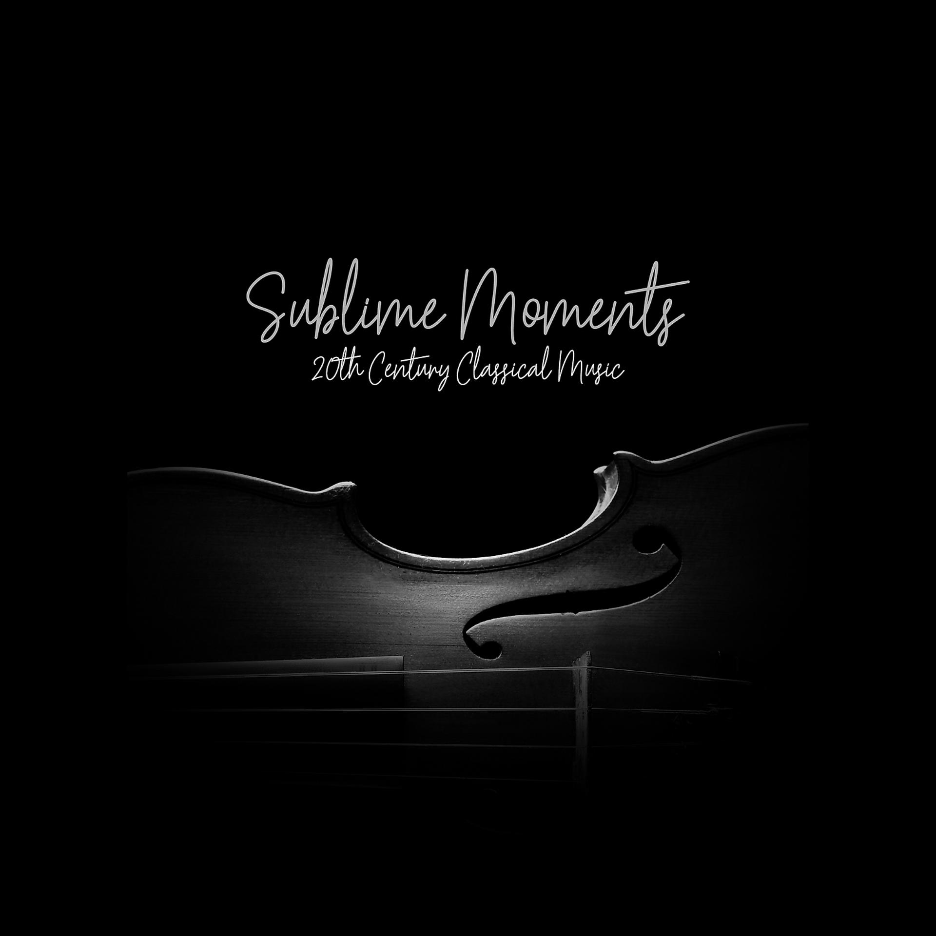 Постер альбома Sublime Moments - 20th Century Classical Music