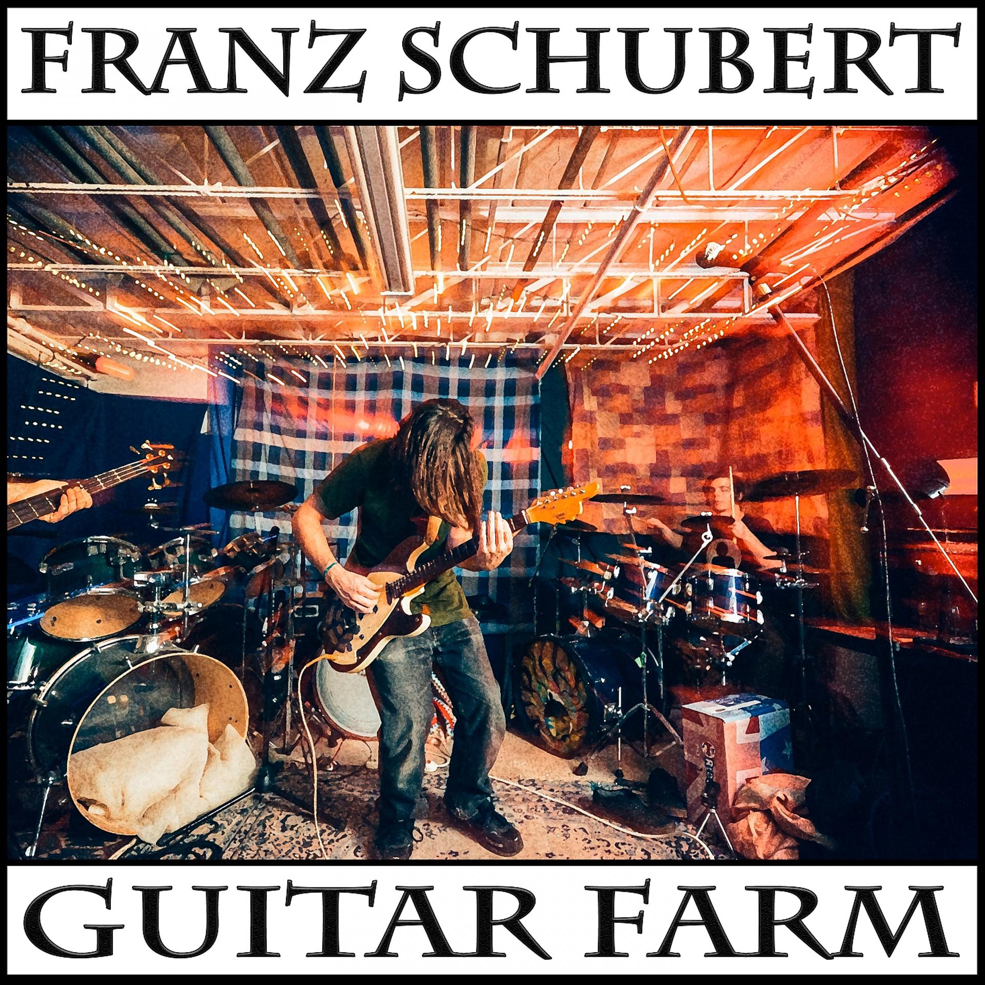 Постер альбома Guitar Farm