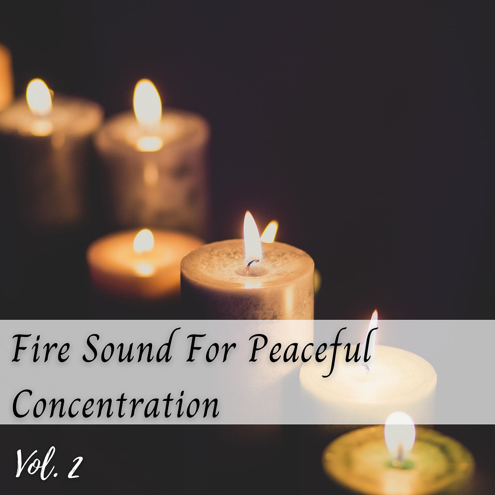 Постер альбома Fire Sound For Peaceful Concentration Vol. 2