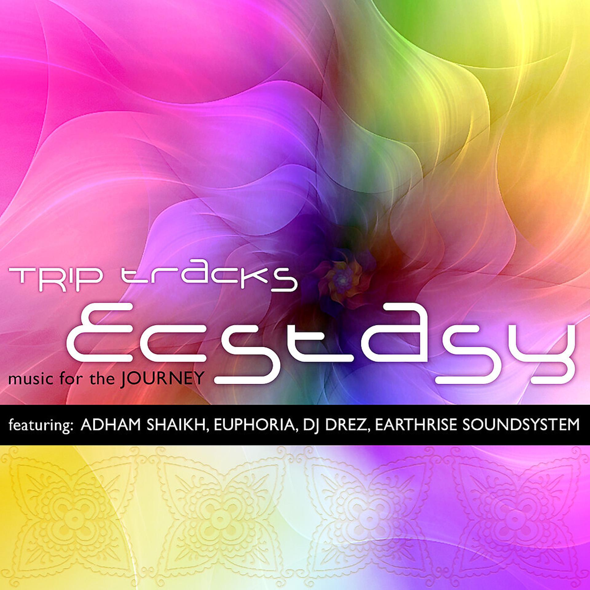 Постер альбома Trip Tracks: Ecstasy