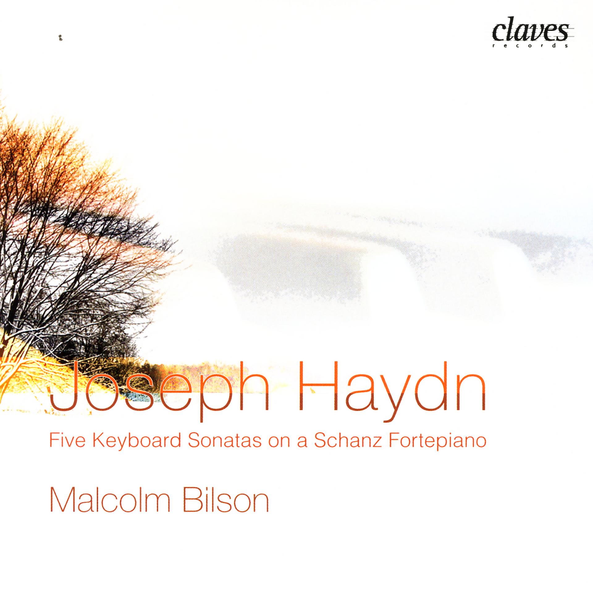 Постер альбома J. Haydn: Five Keyboard Sonatas on a Schanz Fortepiano