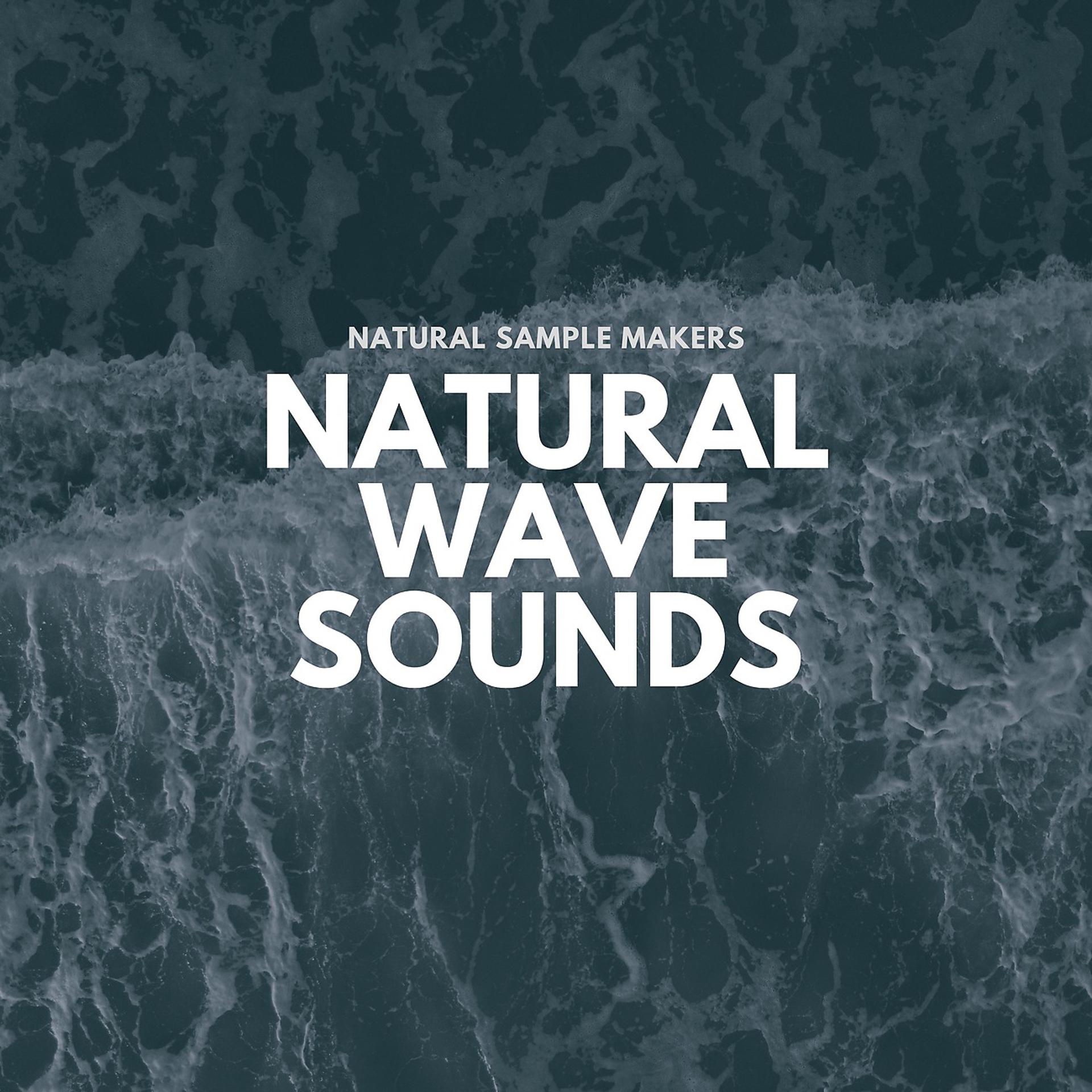 Постер альбома Natural Wave Sounds