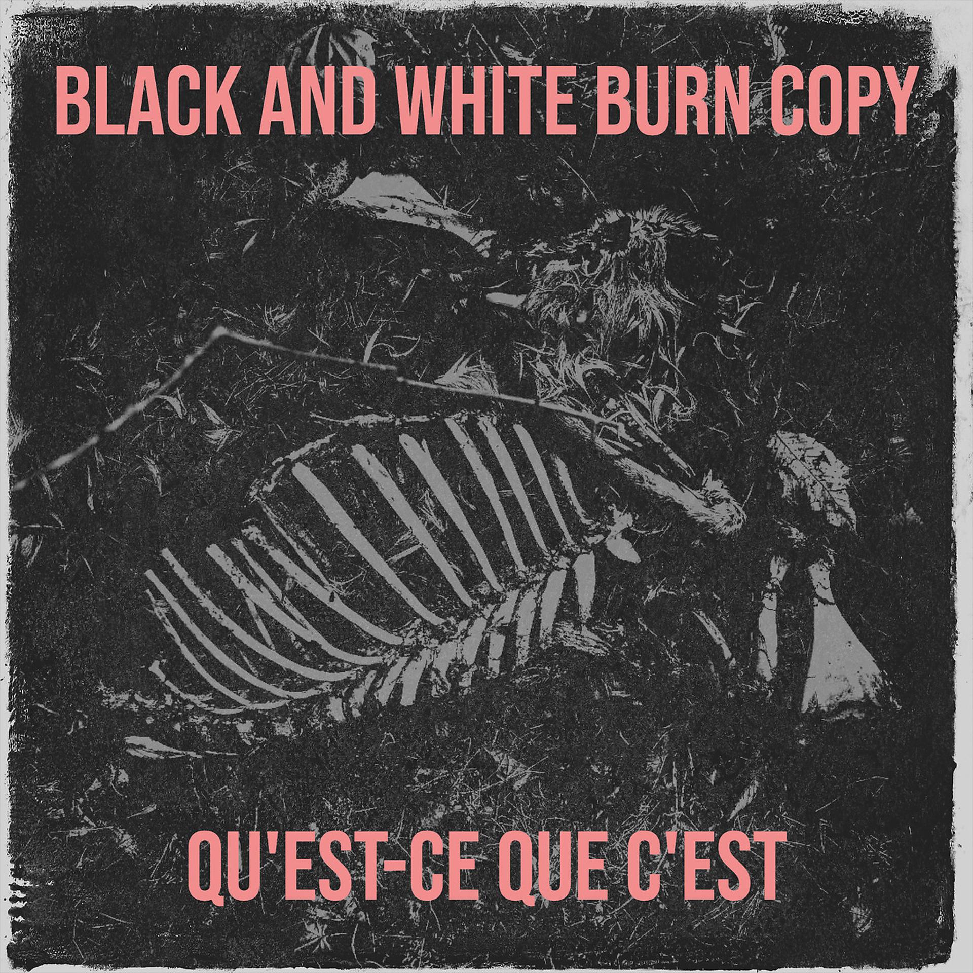 Постер альбома Black and White Burn Copy