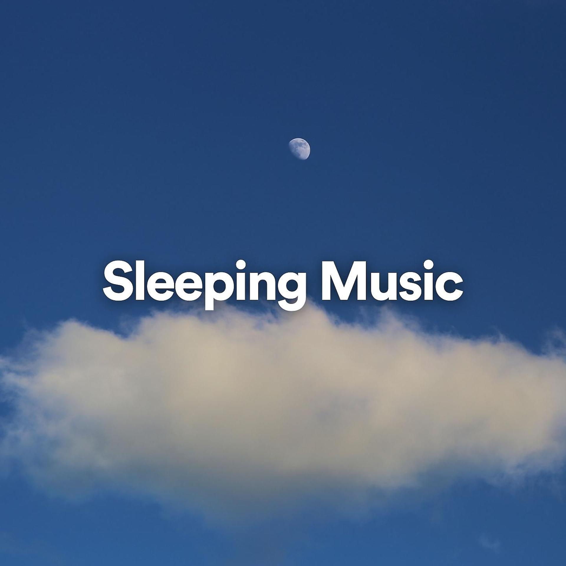 Постер альбома Sleeping Music