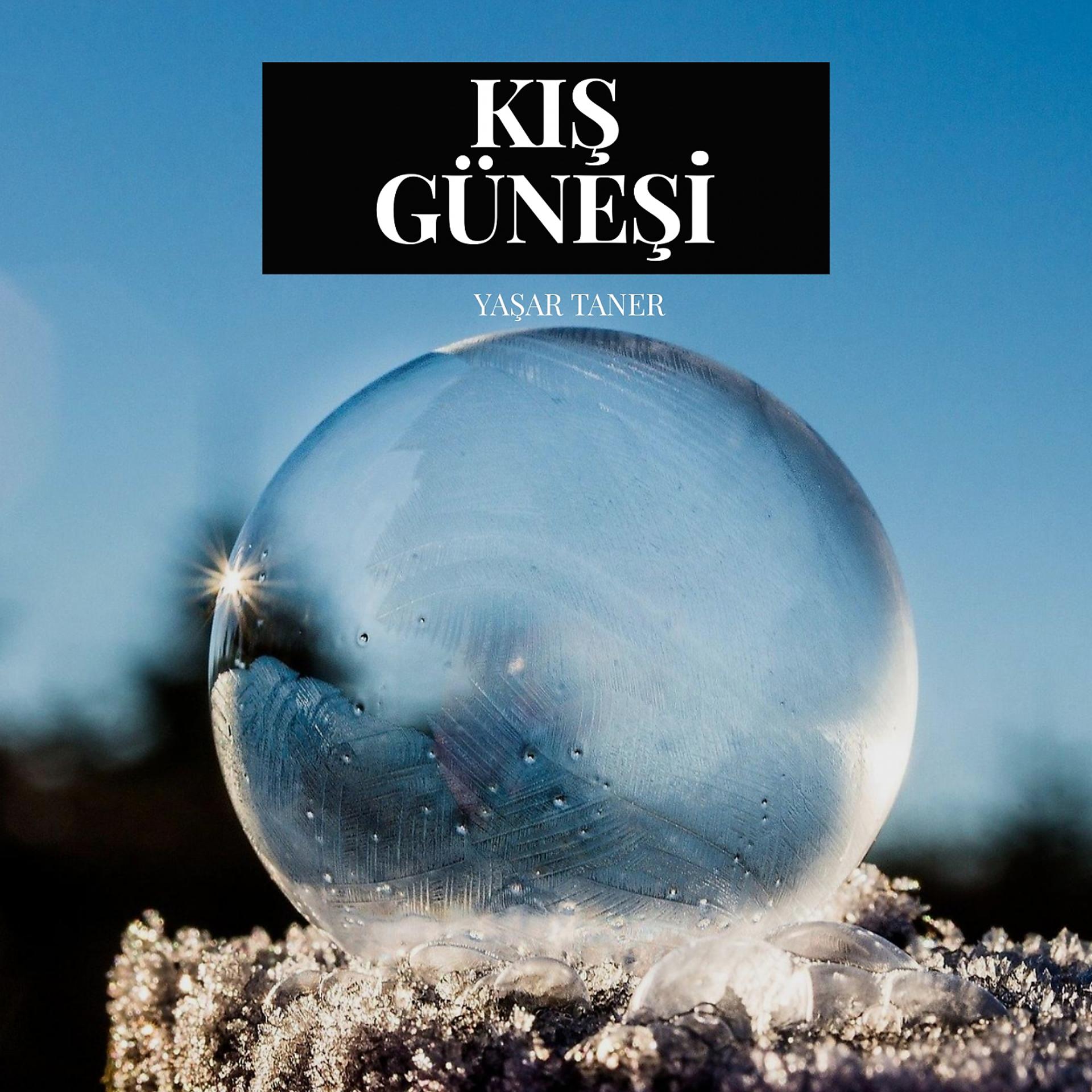 Постер альбома Kış Güneşi