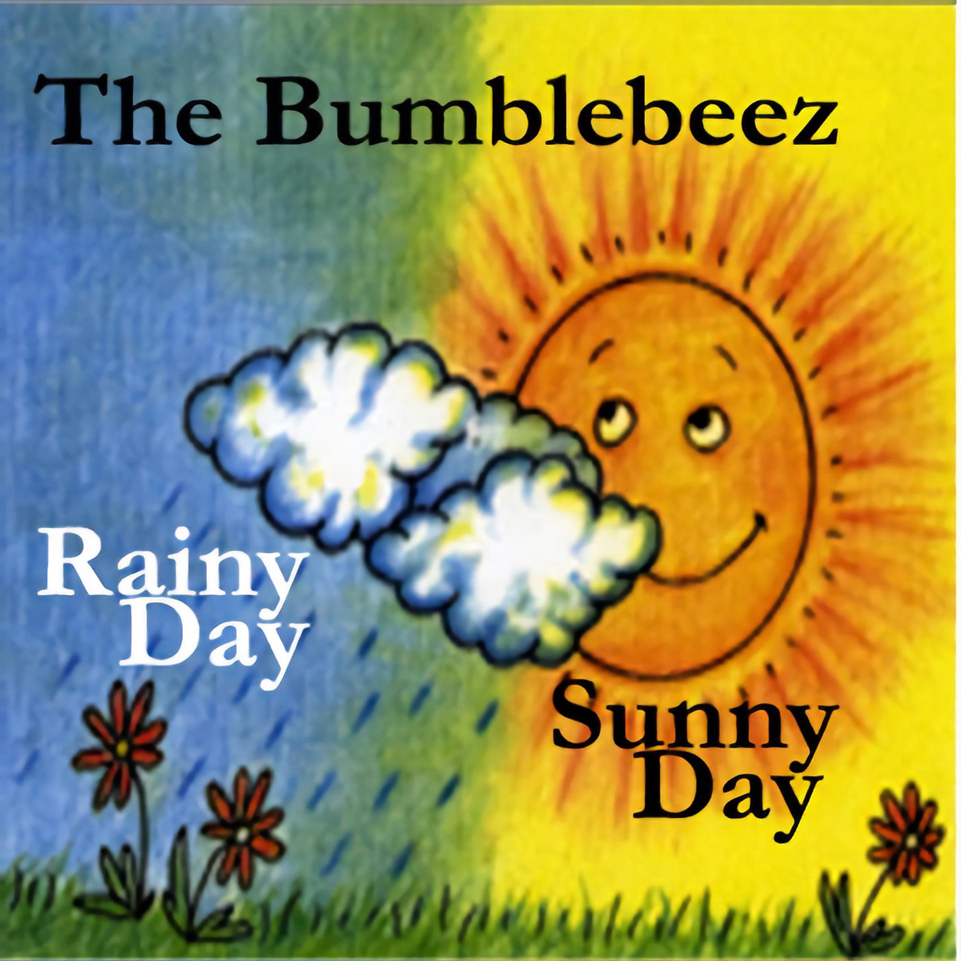 Постер альбома Rainy Day Sunny Day