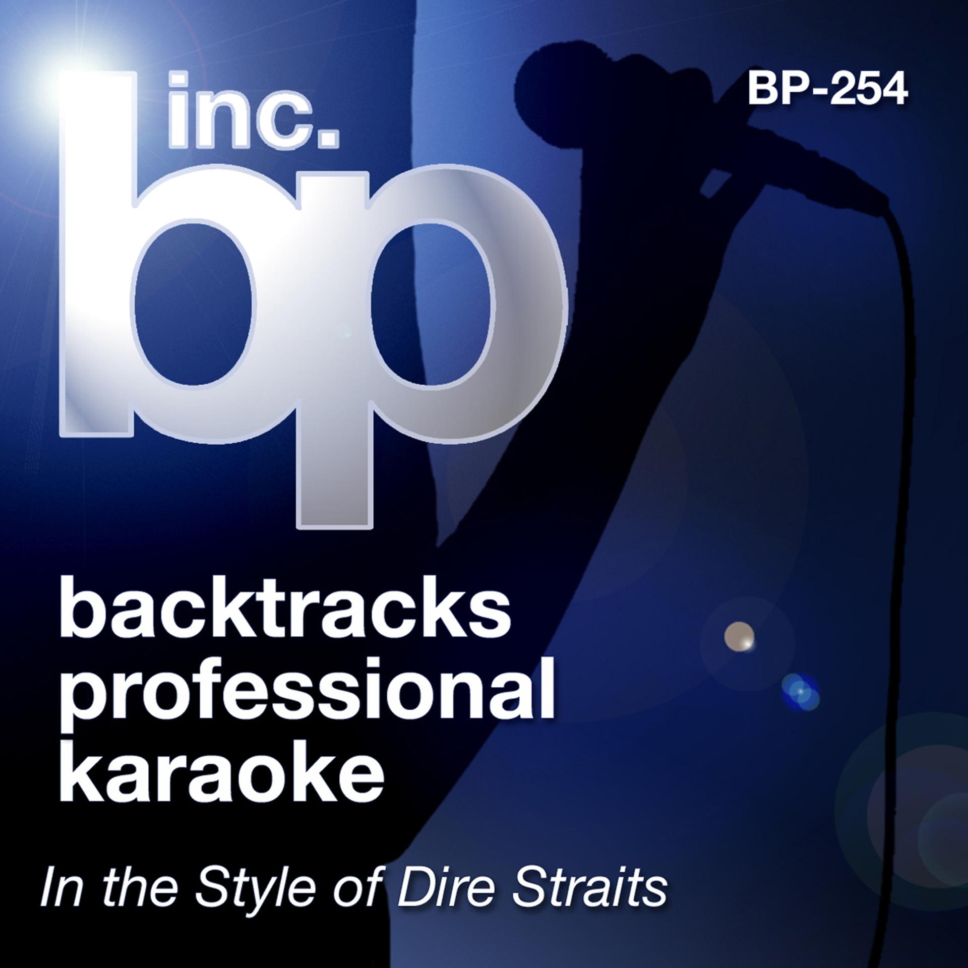 Постер альбома Karaoke: In the Style of Dire Straits (Karaoke Version)