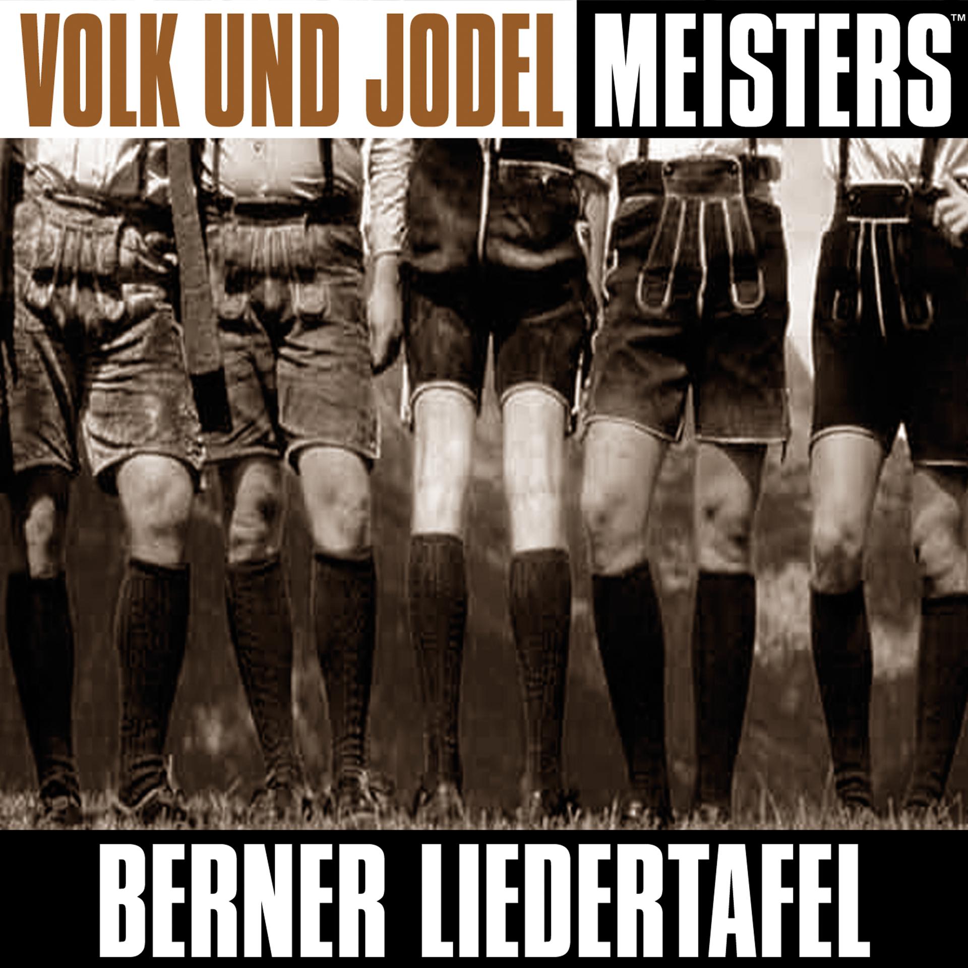 Постер альбома Volk und Jodel Meisters