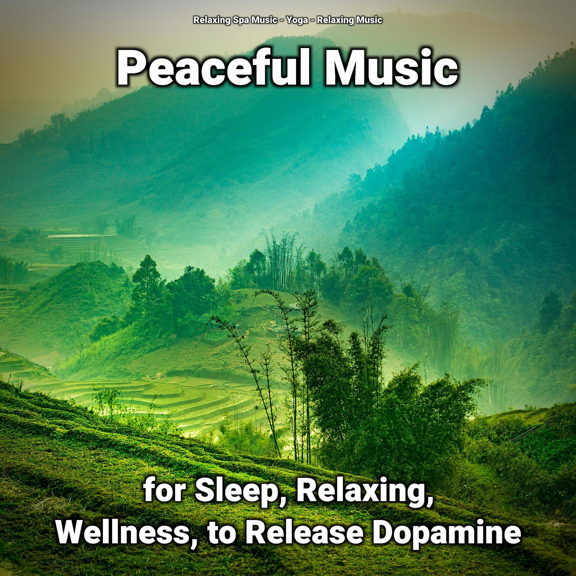 Постер альбома Peaceful Music for Sleep, Relaxing, Wellness, to Release Dopamine