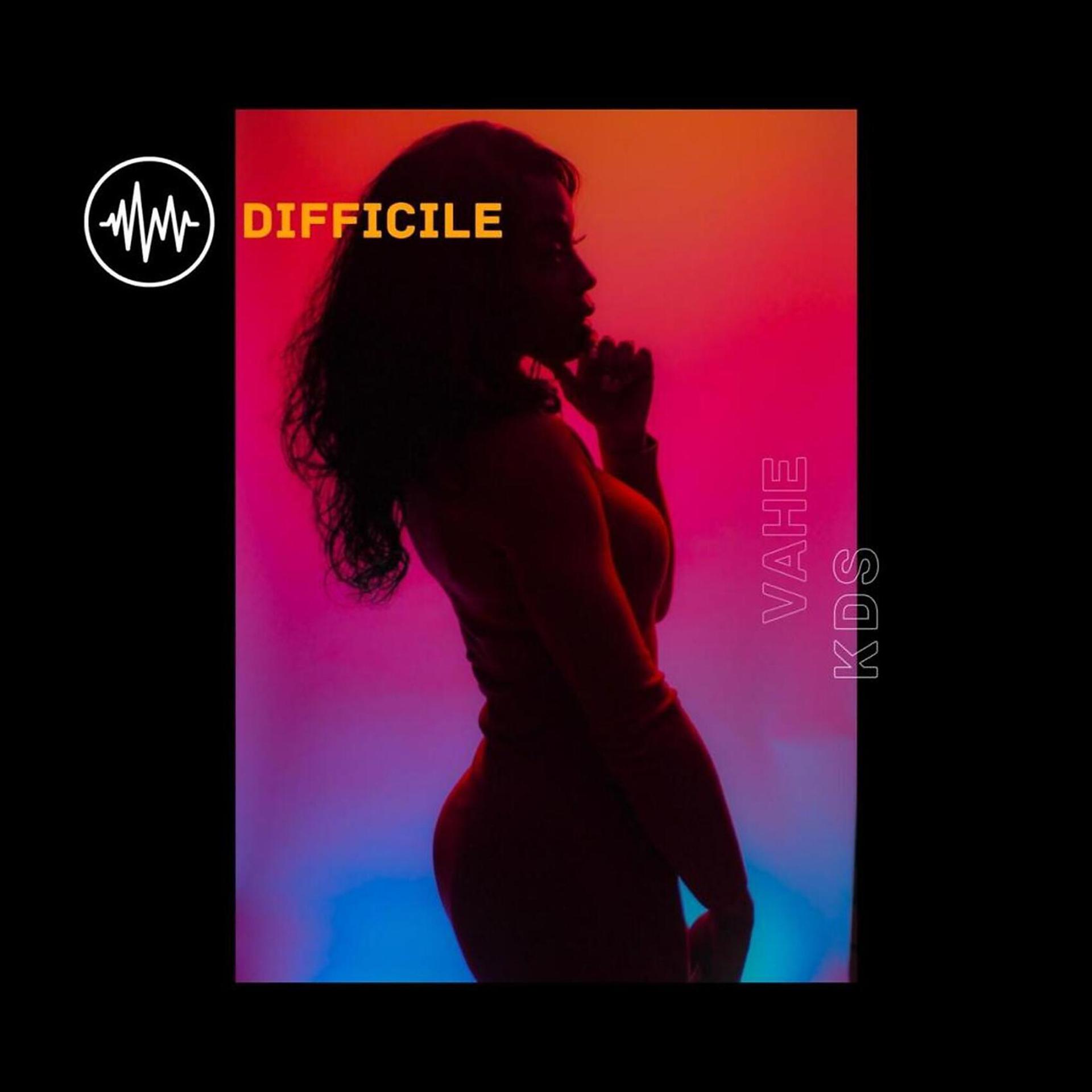 Постер альбома Difficile