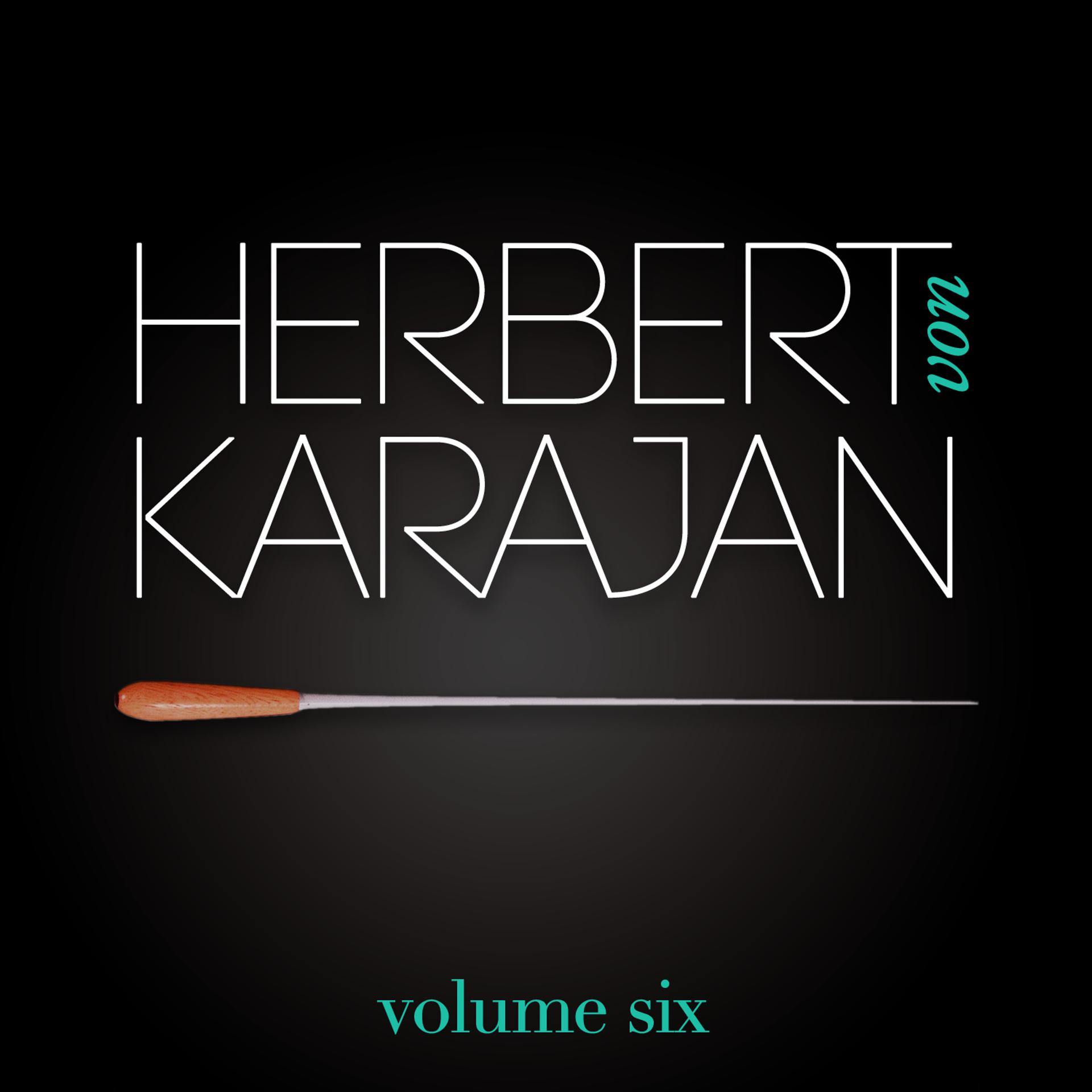 Постер альбома Herbert Von Karajan Vol. 6 : Les Plus Belles Valses De Johann Strauss (Johann Strauss)