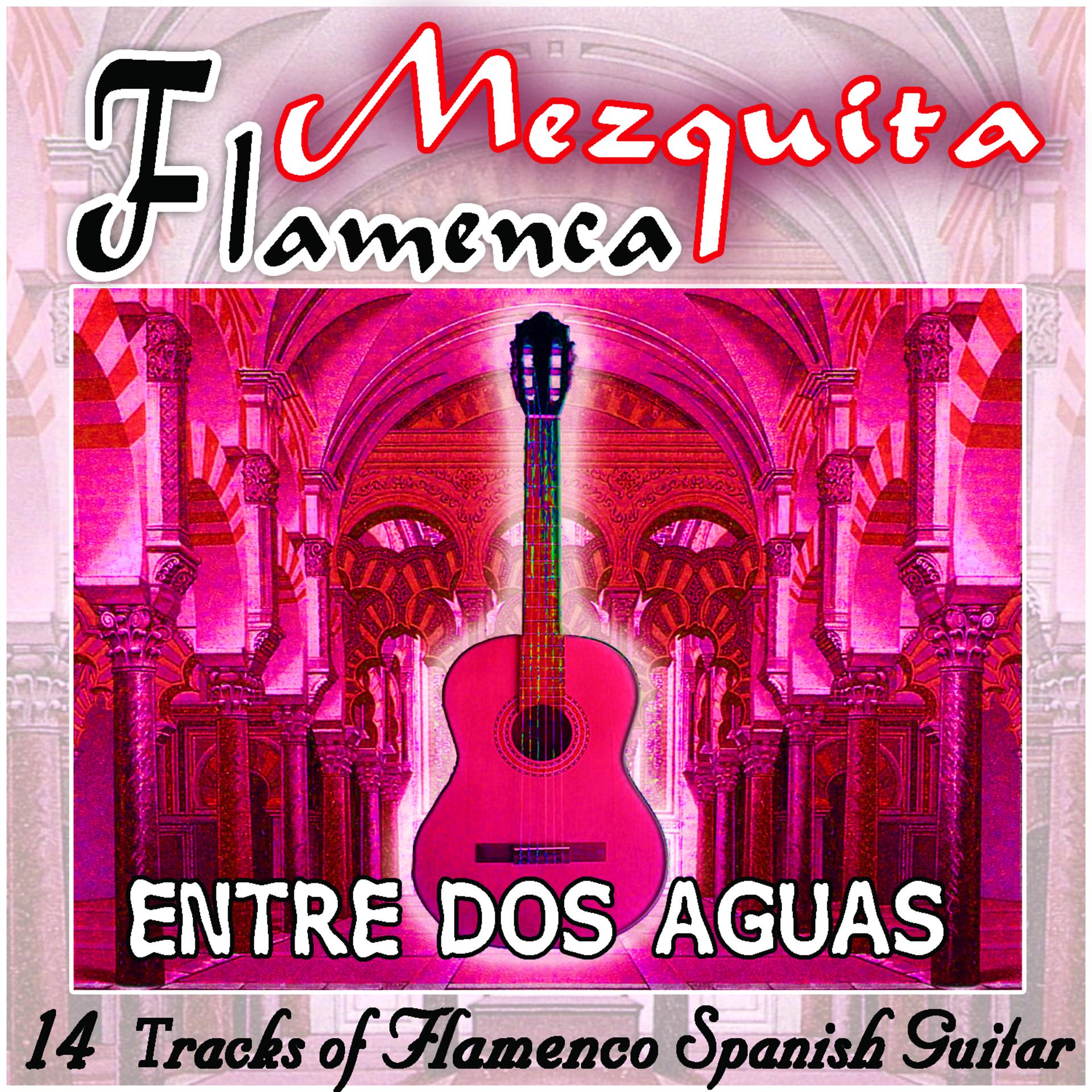Постер альбома Mezquita Flamenca: Entre dos aguas. 16 tracks of flamenco spanish guitar