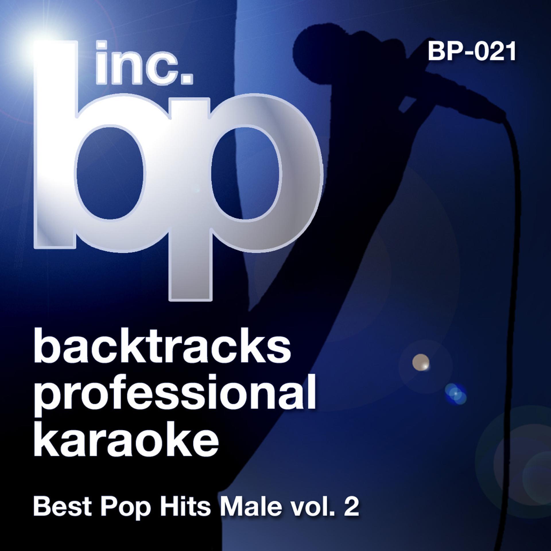 Постер альбома Best Pop Hits Male, Vol. 2 (Karaoke)