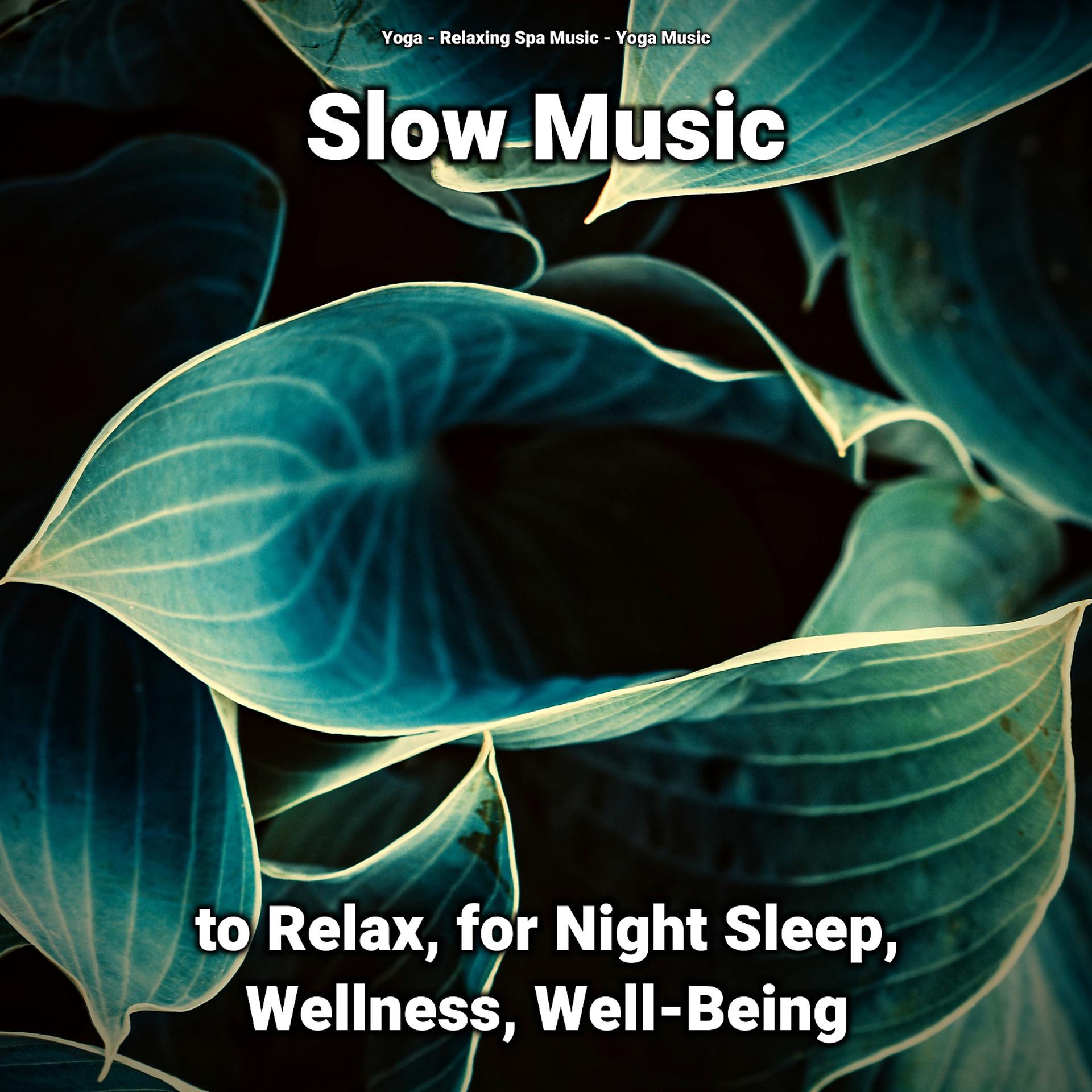 Постер альбома Slow Music to Relax, for Night Sleep, Wellness, Well-Being