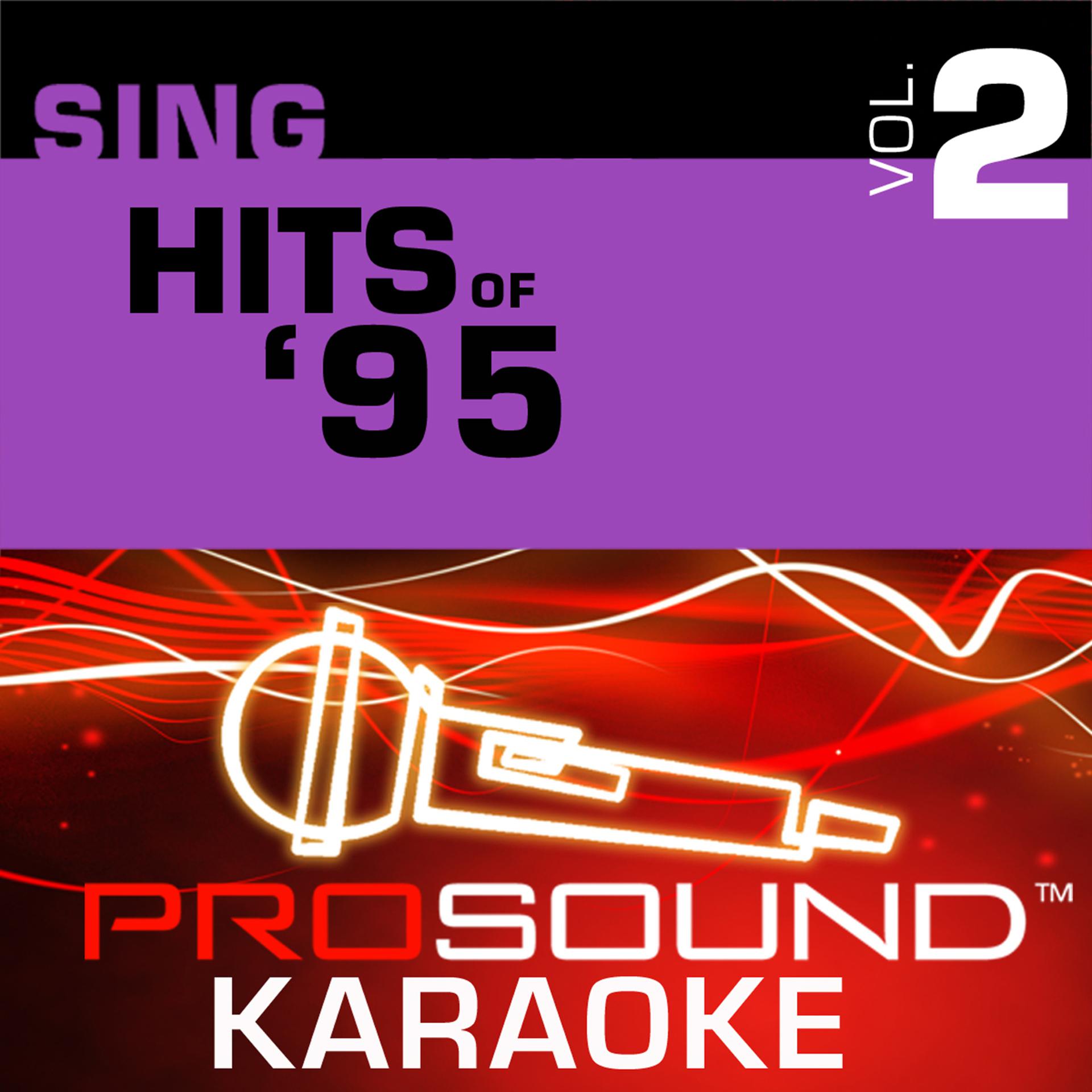 Постер альбома Sing Hits Of '95 v.2 (Karaoke Performance Tracks)