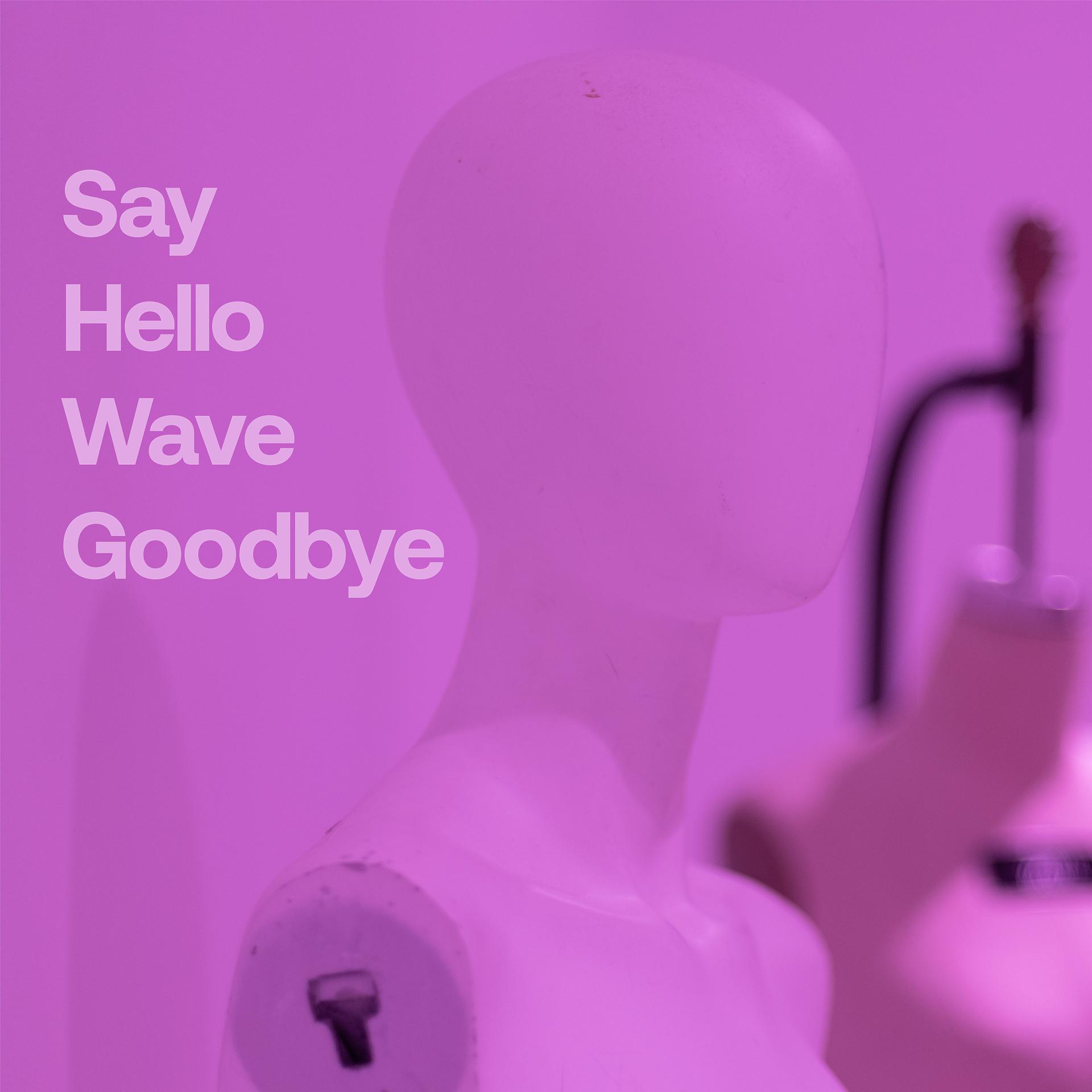 Постер альбома Say Hello, Wave Goodbye