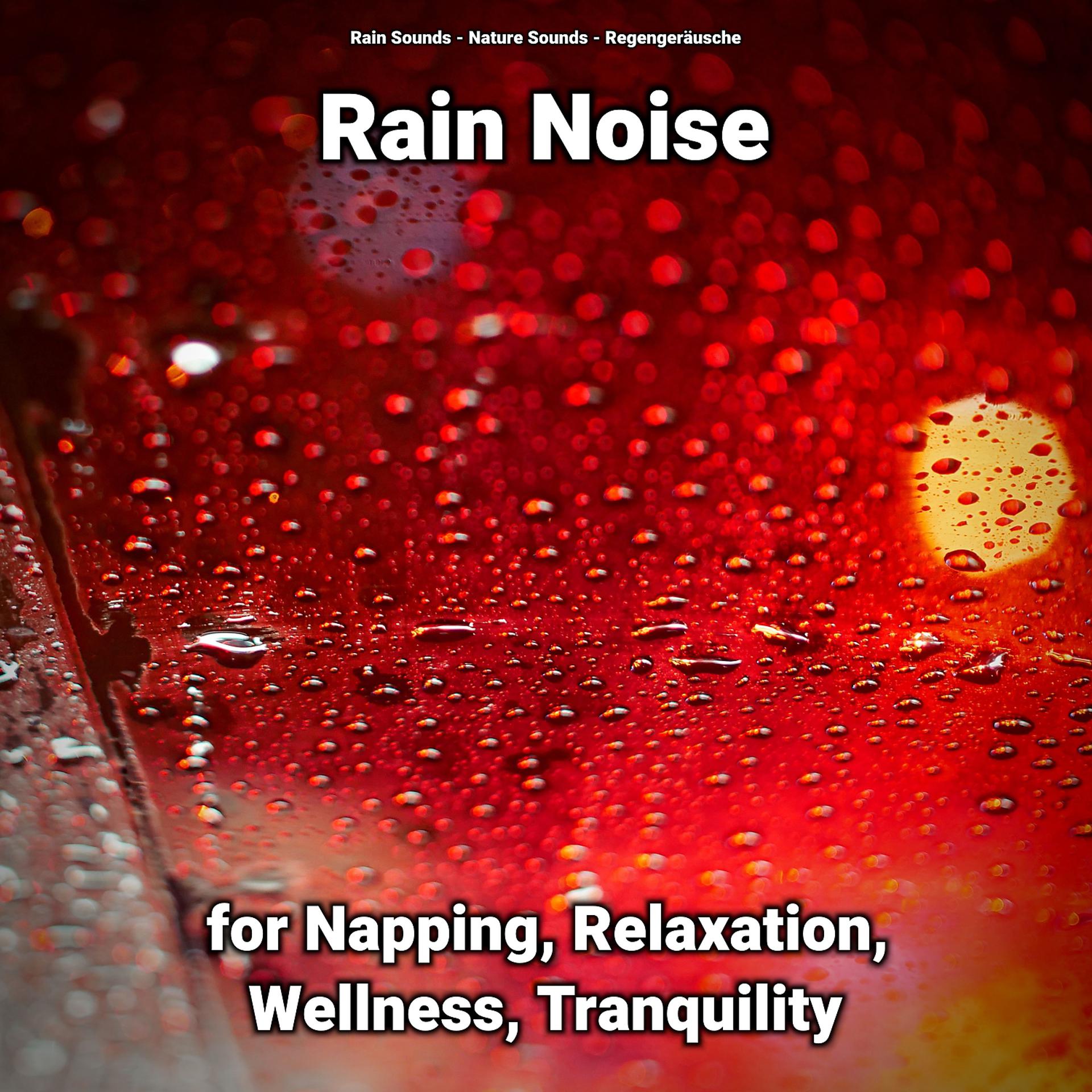 Постер альбома Rain Noise for Napping, Relaxation, Wellness, Tranquility